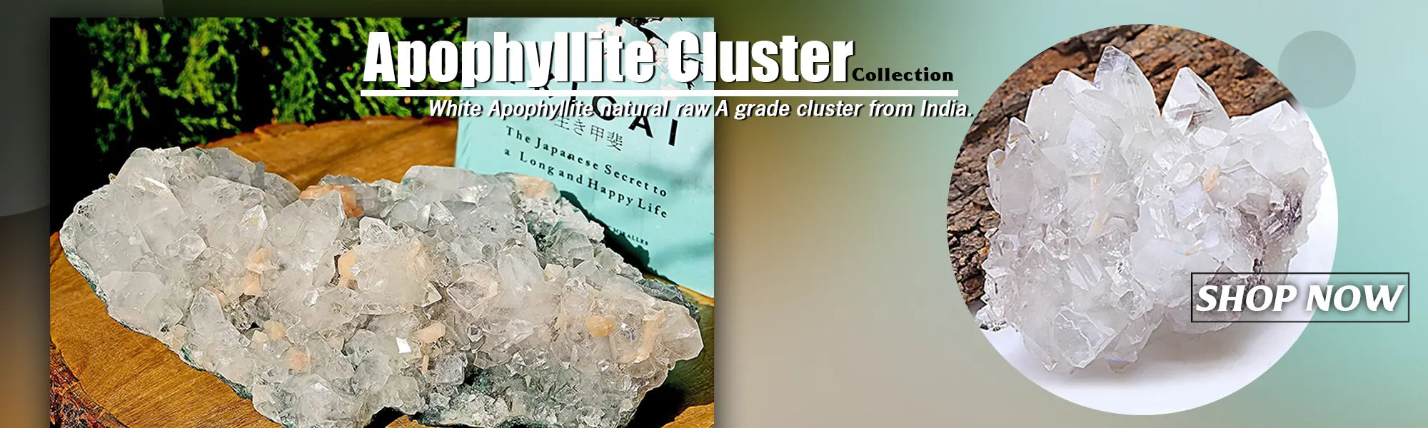 Apophyllites, zeolite