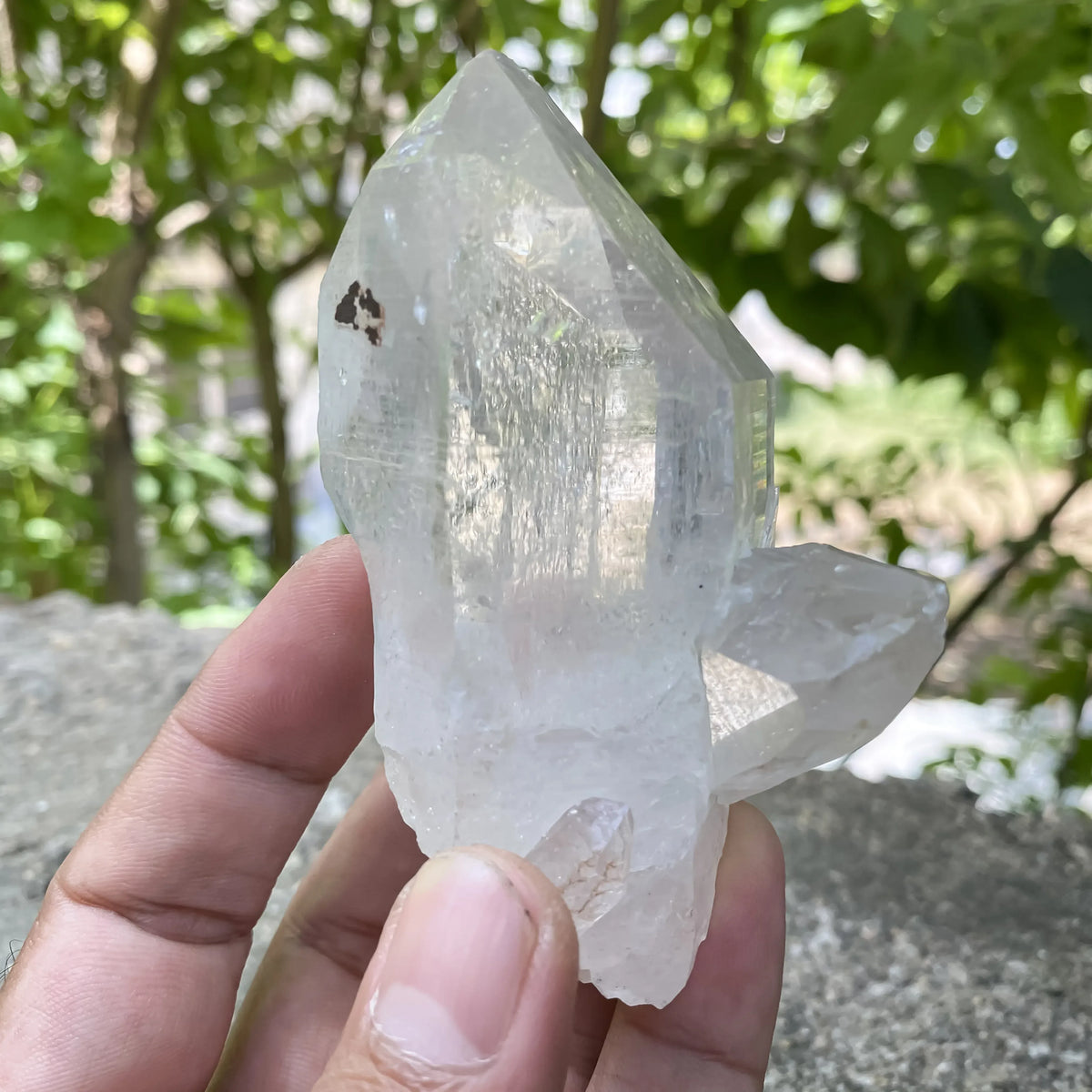Natural Himalayan clear quartz cluster mineral specimen