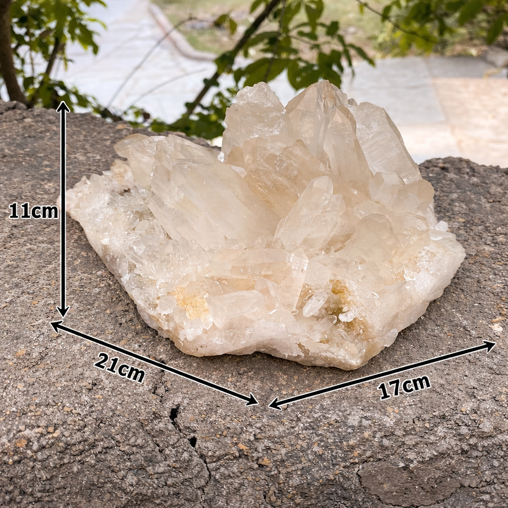 Collector Natural Himalayan Pink Quartz Raw Cluster Display Specimen