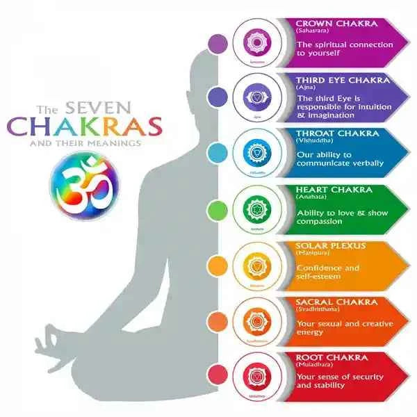 Diagram of the Seven Chakras with labels and descriptions on a white background