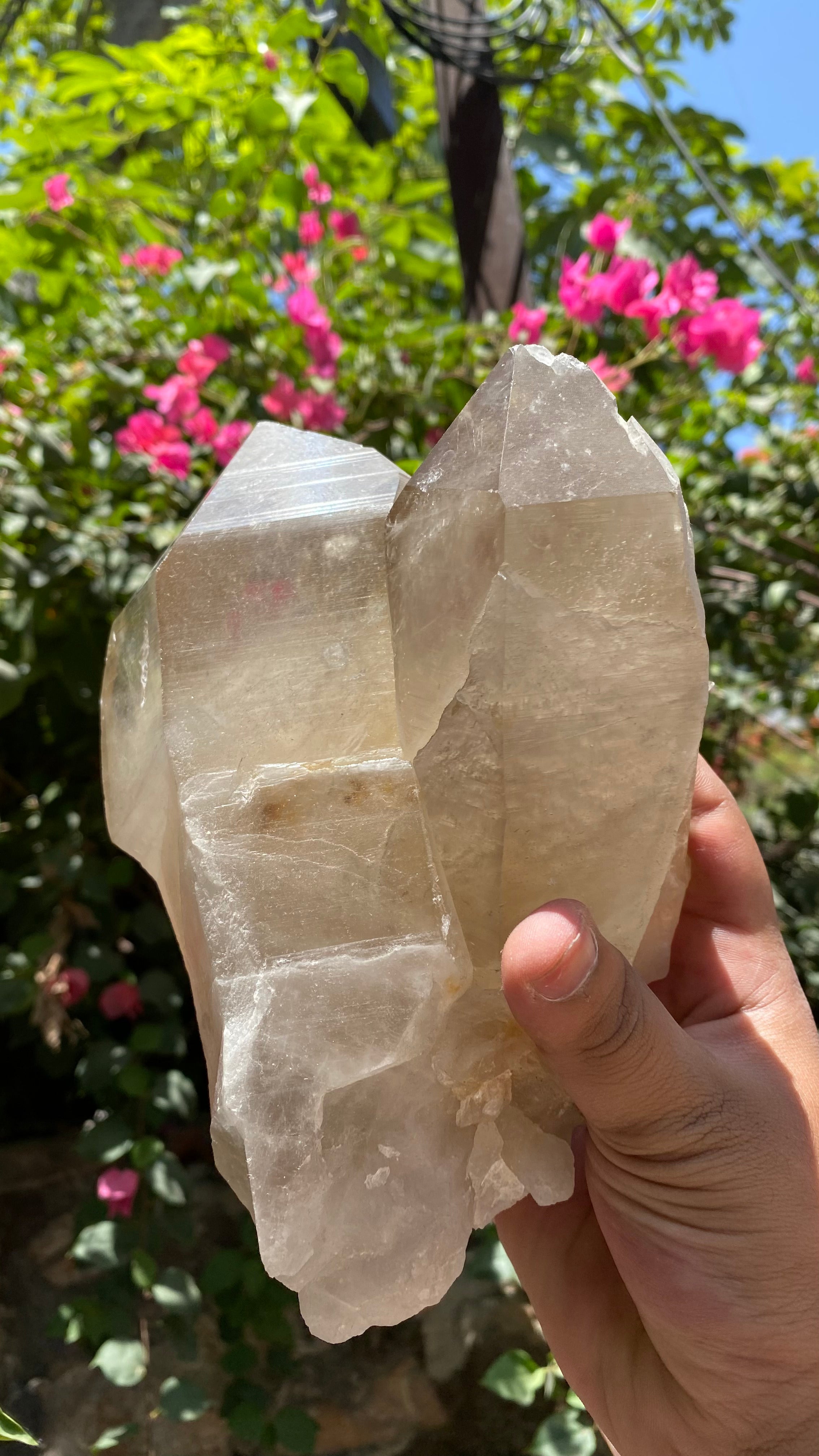 Himalaya Quartz Himalayan Smoky Quartz crystal cluster for protection and meditation, raw healing stone with natural smoky quartz appearance.