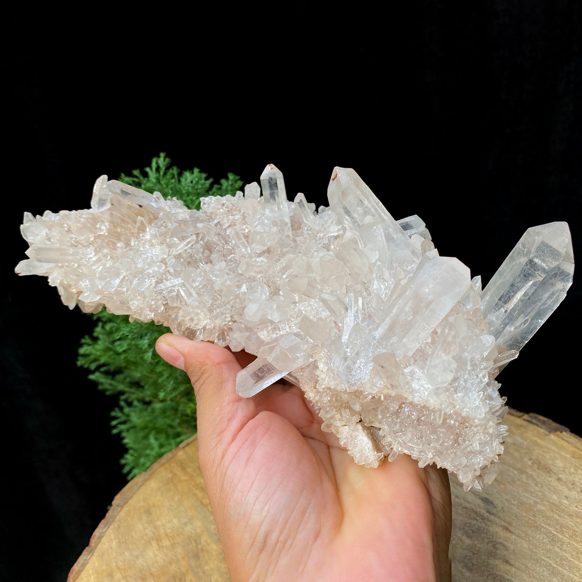 White & Pink Samadhi Quartz Crystal Cluster Healing Energy Raw Himalayan Display