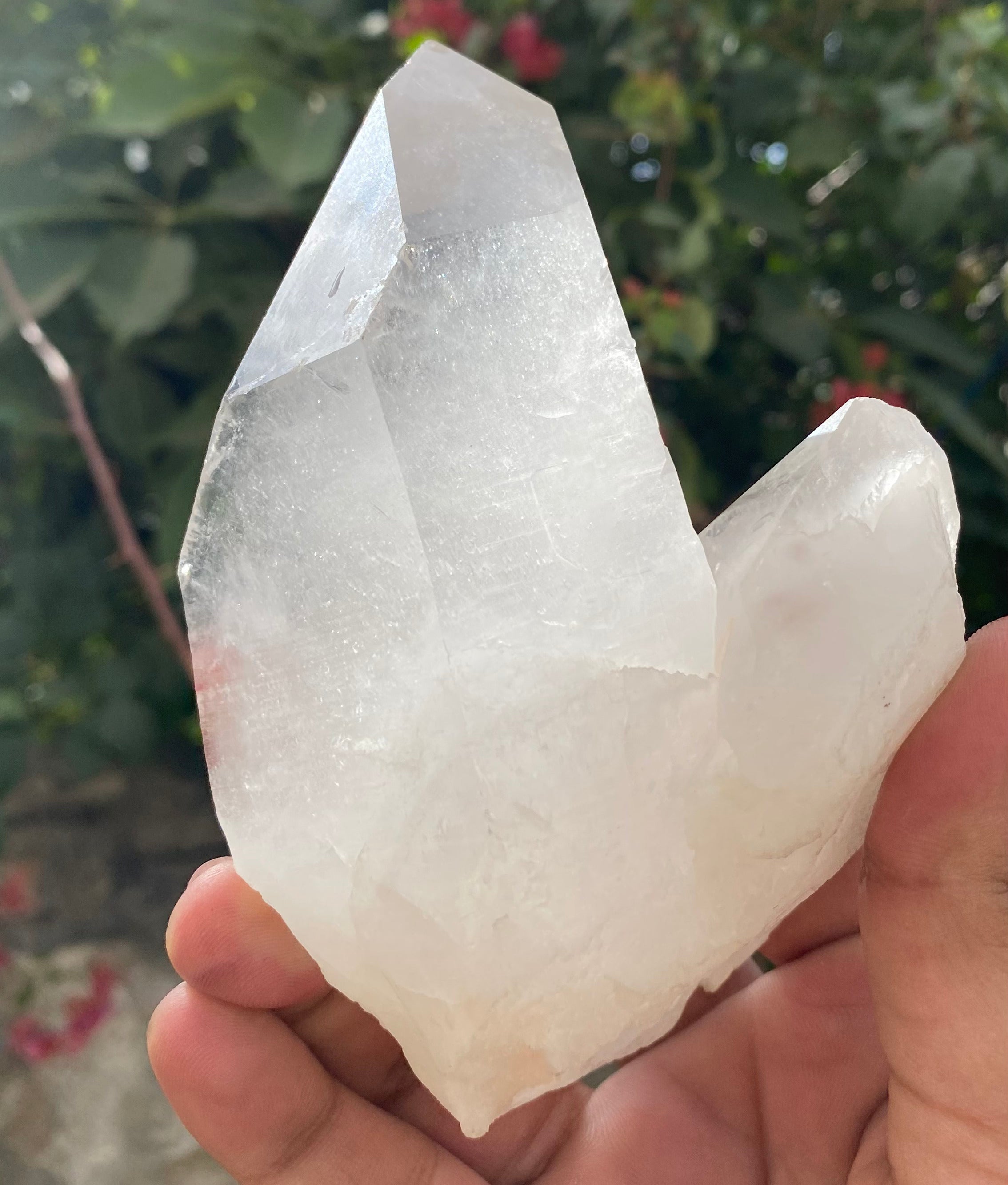 Himalayan Quartz Cluster: Samadhi Crystal Point from India High-Vibration Healing Tool, Collector's Treasure 1.48 LBS