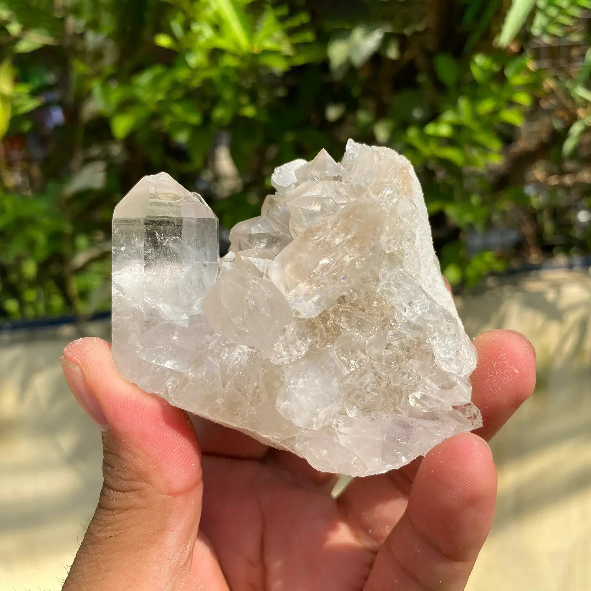 Natural Himalayan White Quartz Cluster 195g Himalayan Quartz