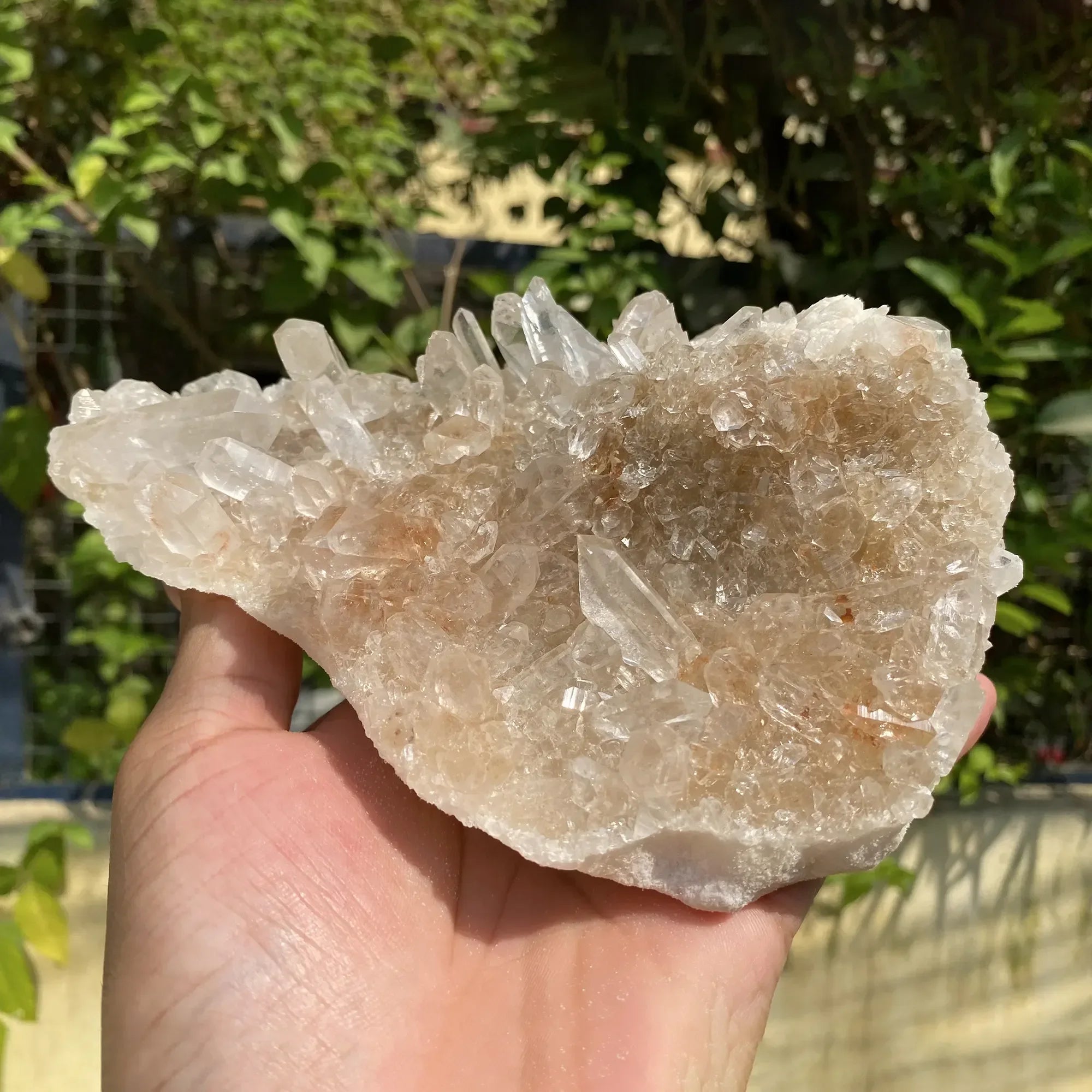 Natural Himalayan Pink Quartz Cluster 1440g Himalayan Quartz