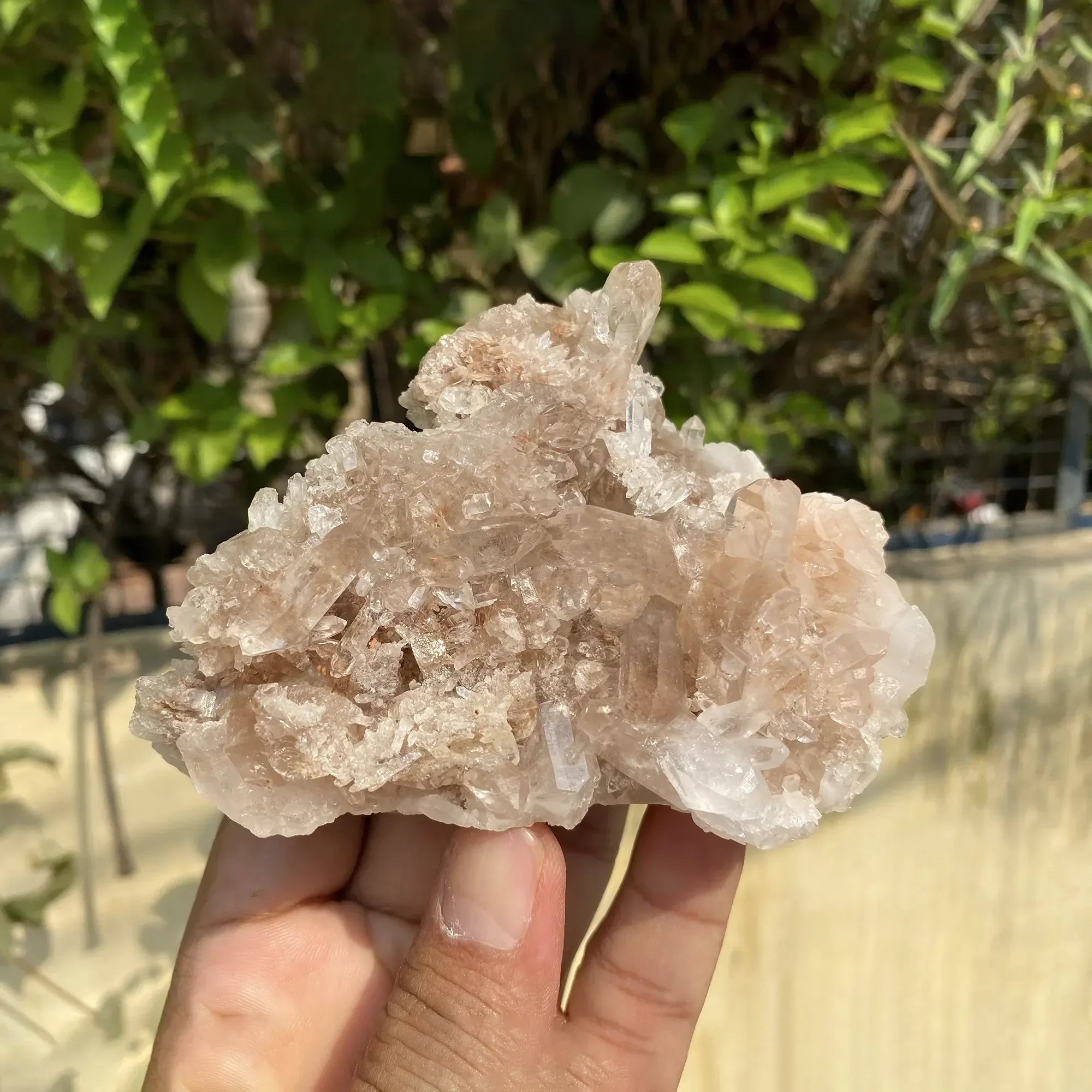 Natural Himalayan Pink Quartz Cluster 355g Himalayan Quartz