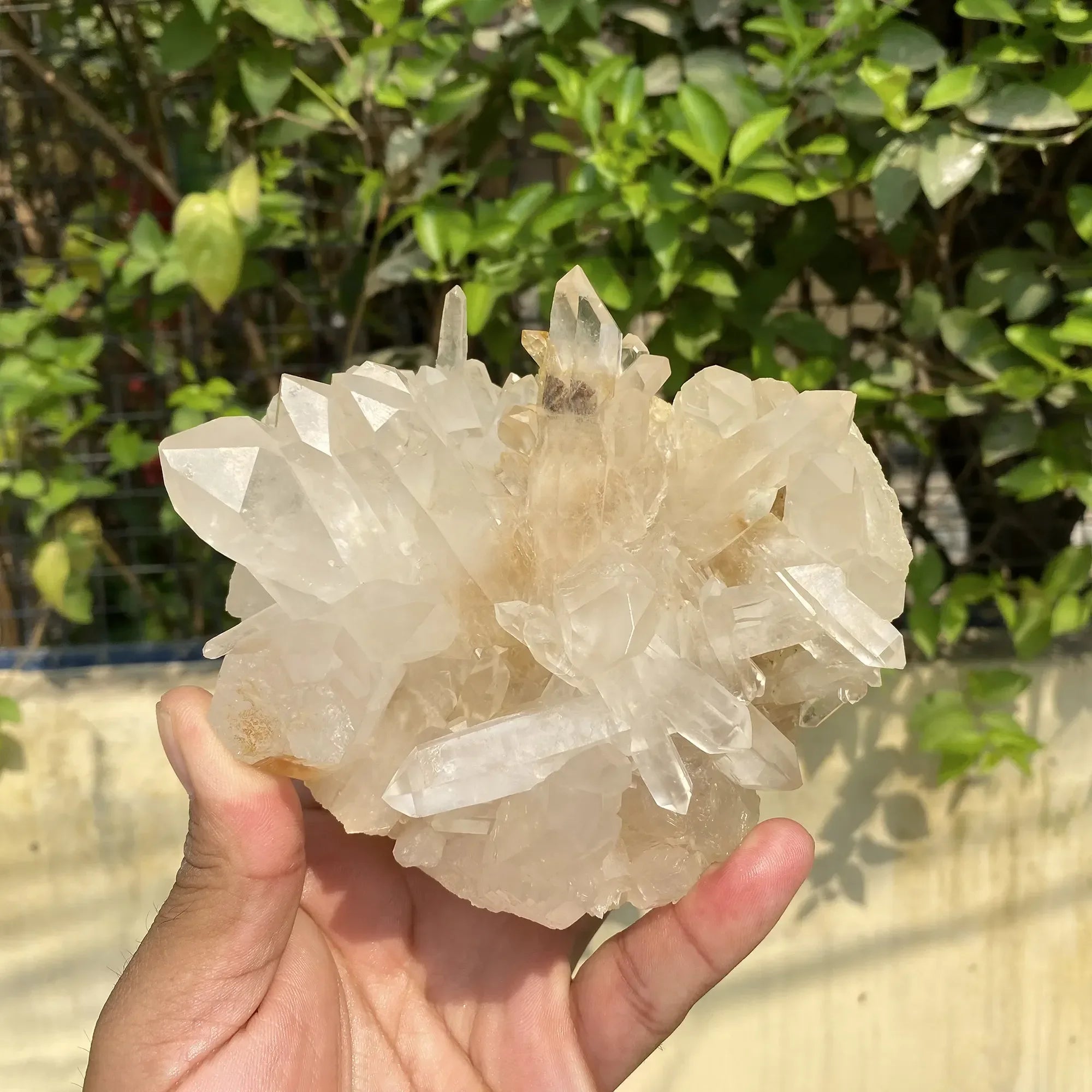 Natural Himalayan White + Yellow Quartz Cluster 940g Himalayan Quartz