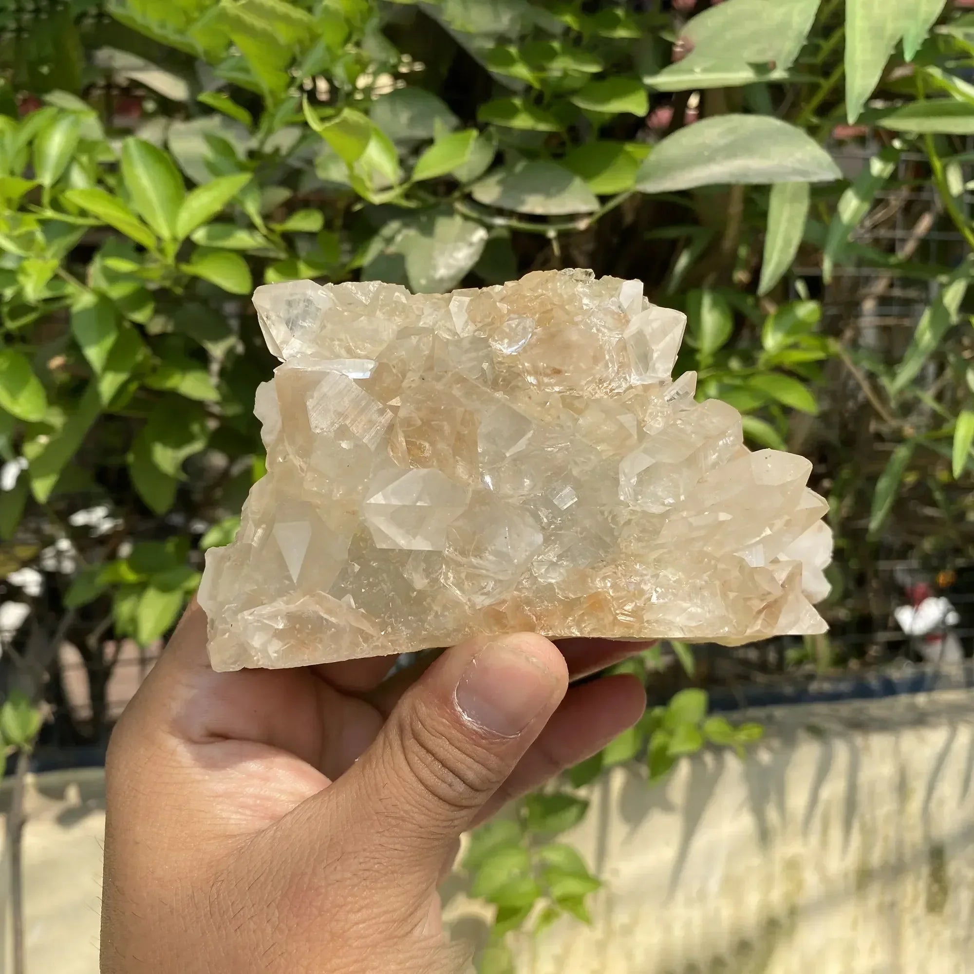 Natural Himalayan Pink Quartz Cluster 600g Himalayan Quartz