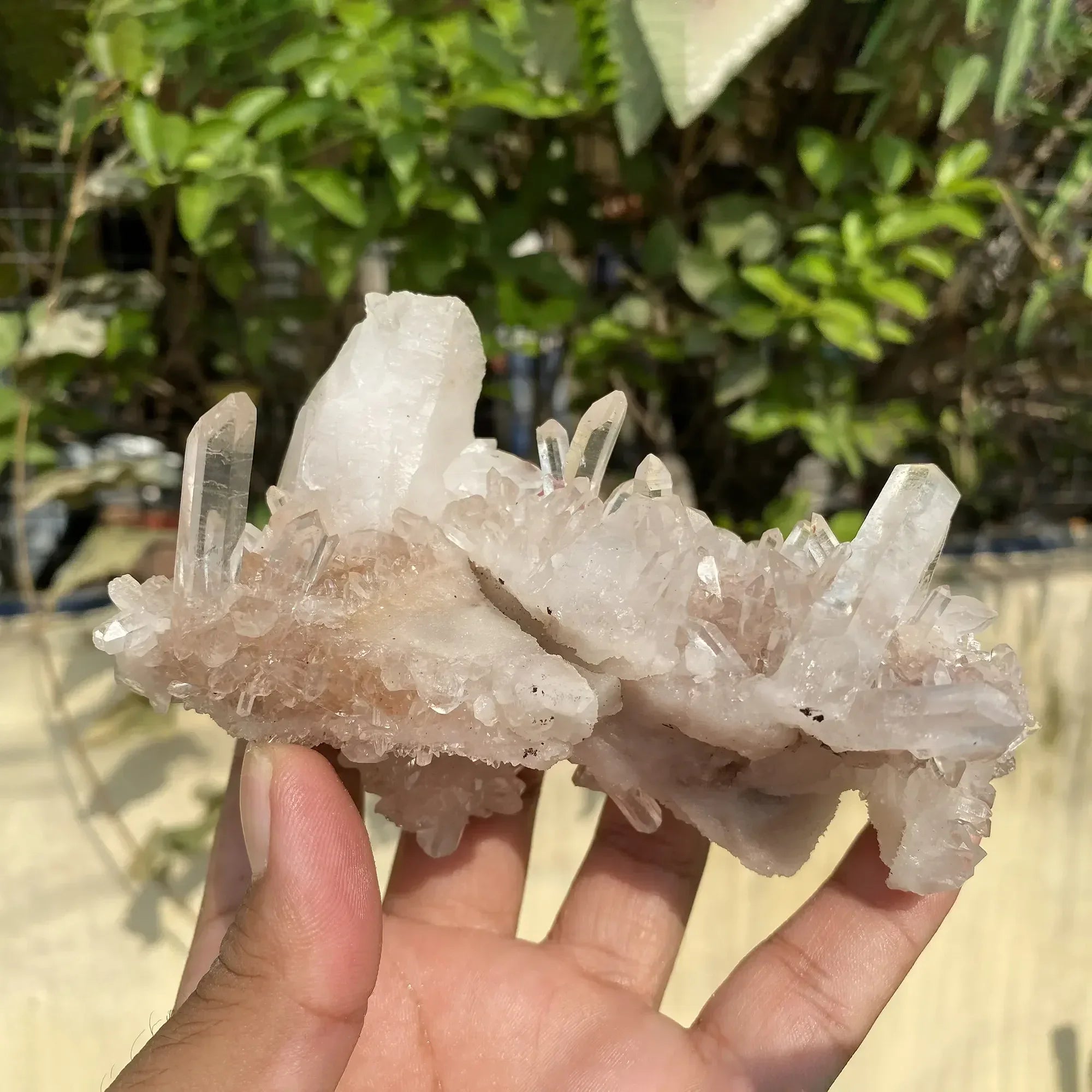 Natural Himalayan Pink Quartz Cluster 280g Himalayan Quartz