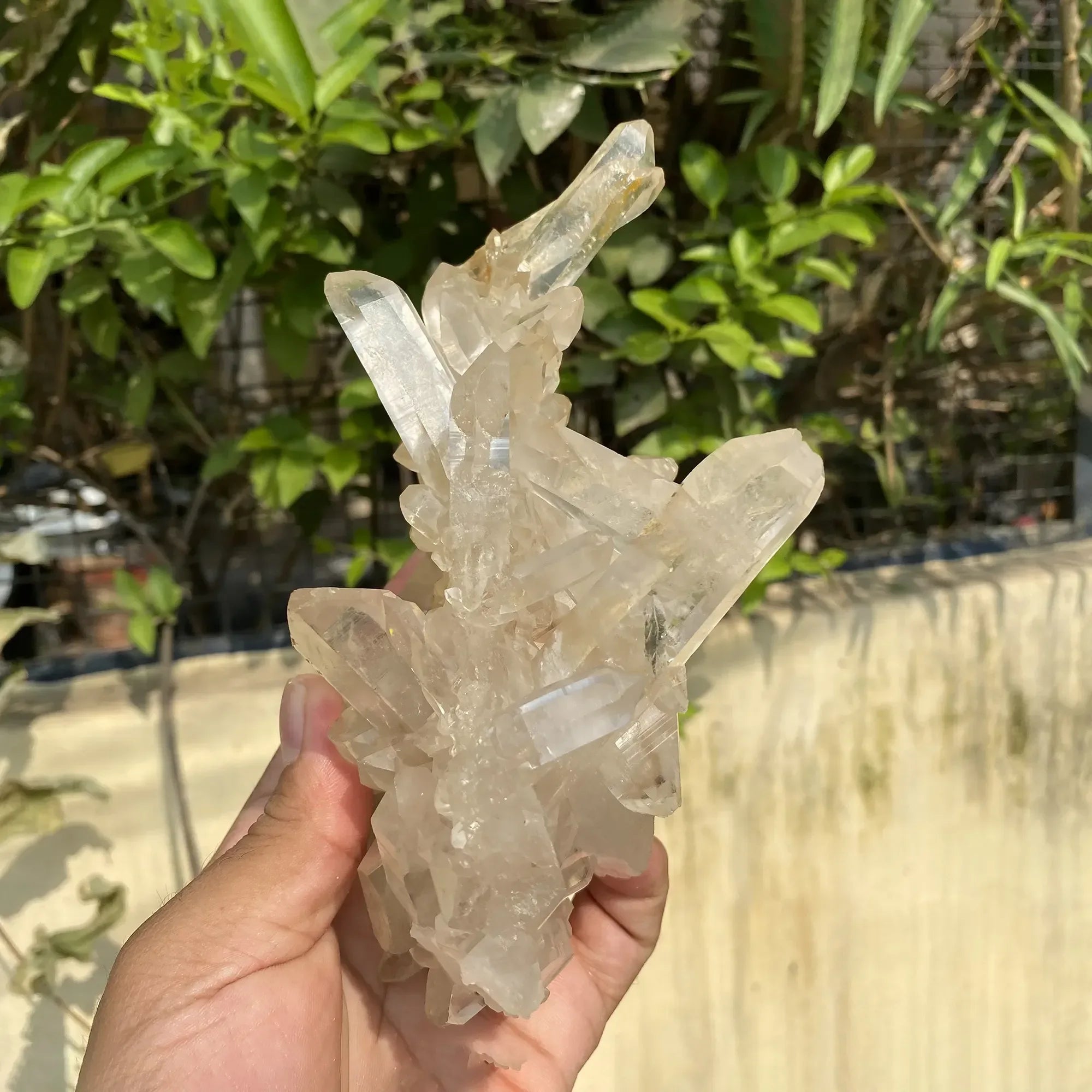 Natural Himalayan White Quartz Cluster 700g Himalayan Quartz