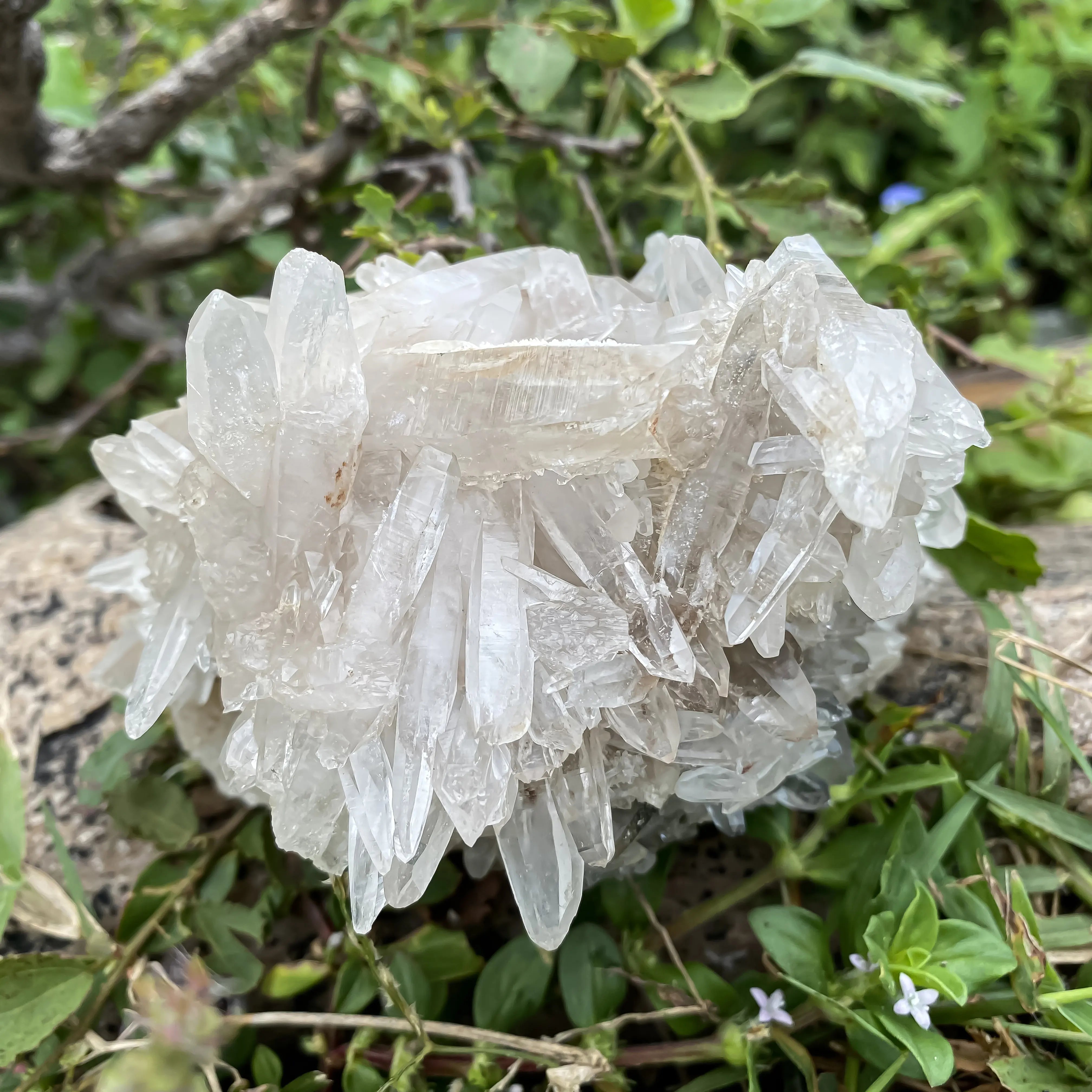Himalayan White Quartz Cluster 695g Natural Healing Crystal Stone
