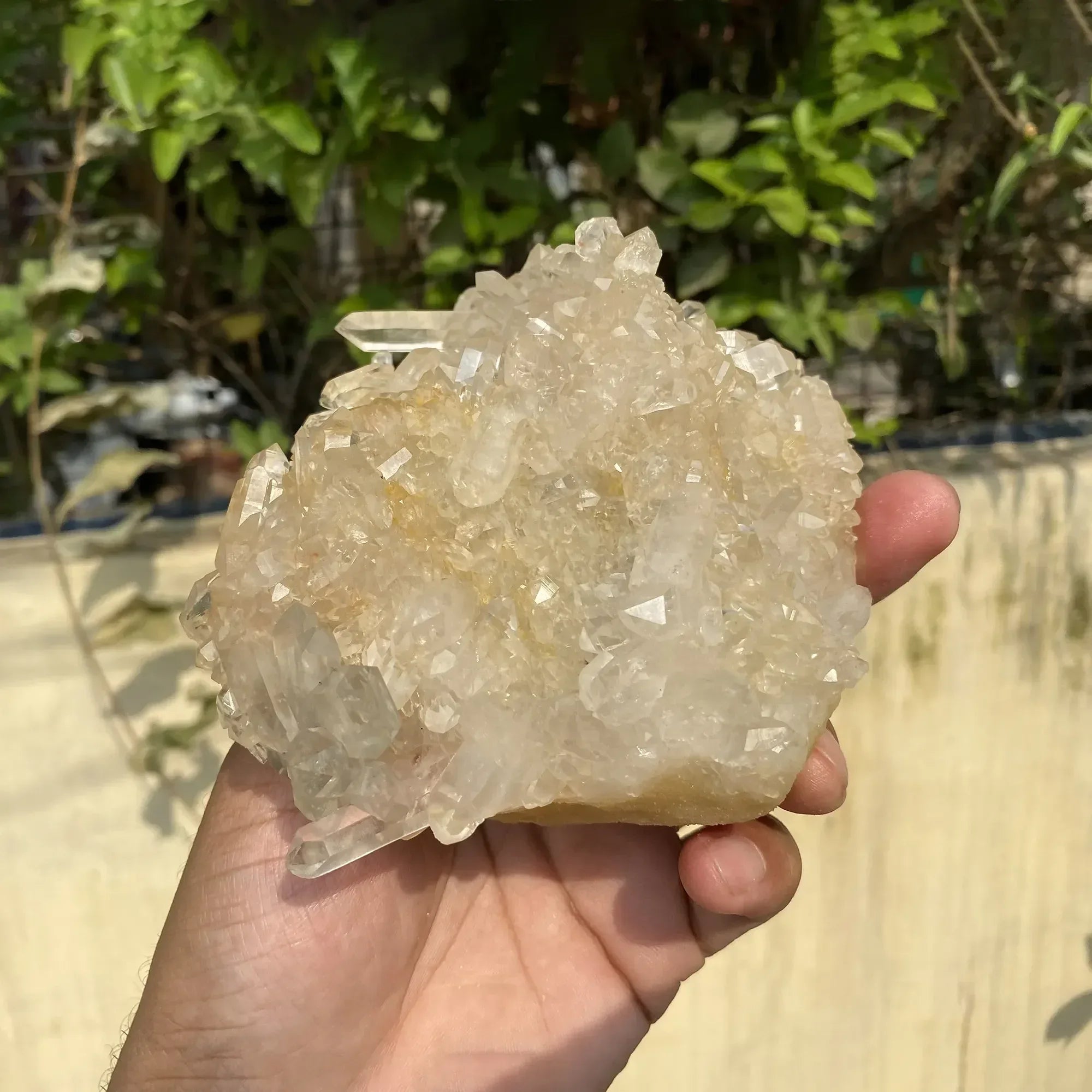 Natural Himalayan White + Yellow Quartz Cluster 670g Himalayan Quartz