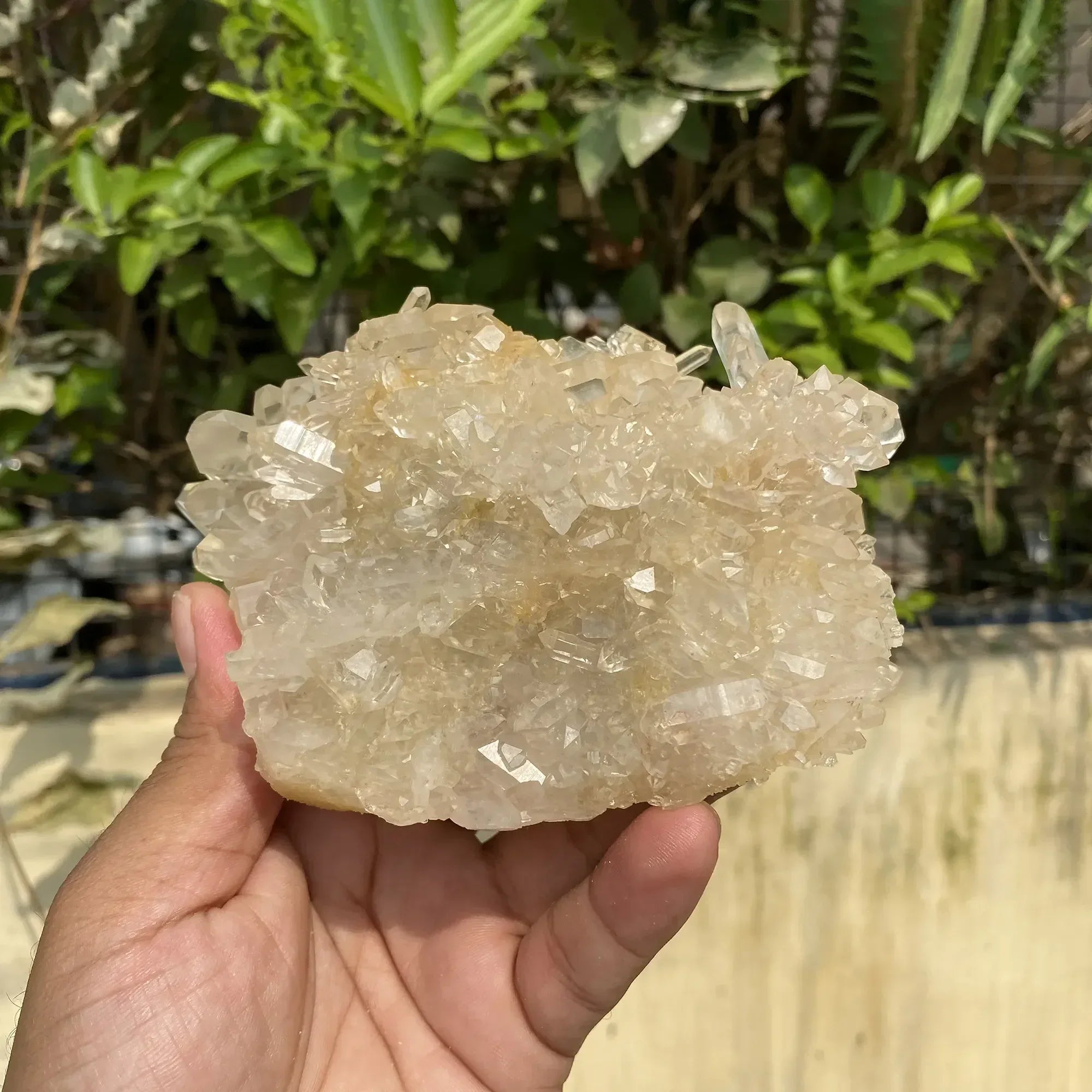 Natural Himalayan White + Yellow Quartz Cluster 670g Himalayan Quartz