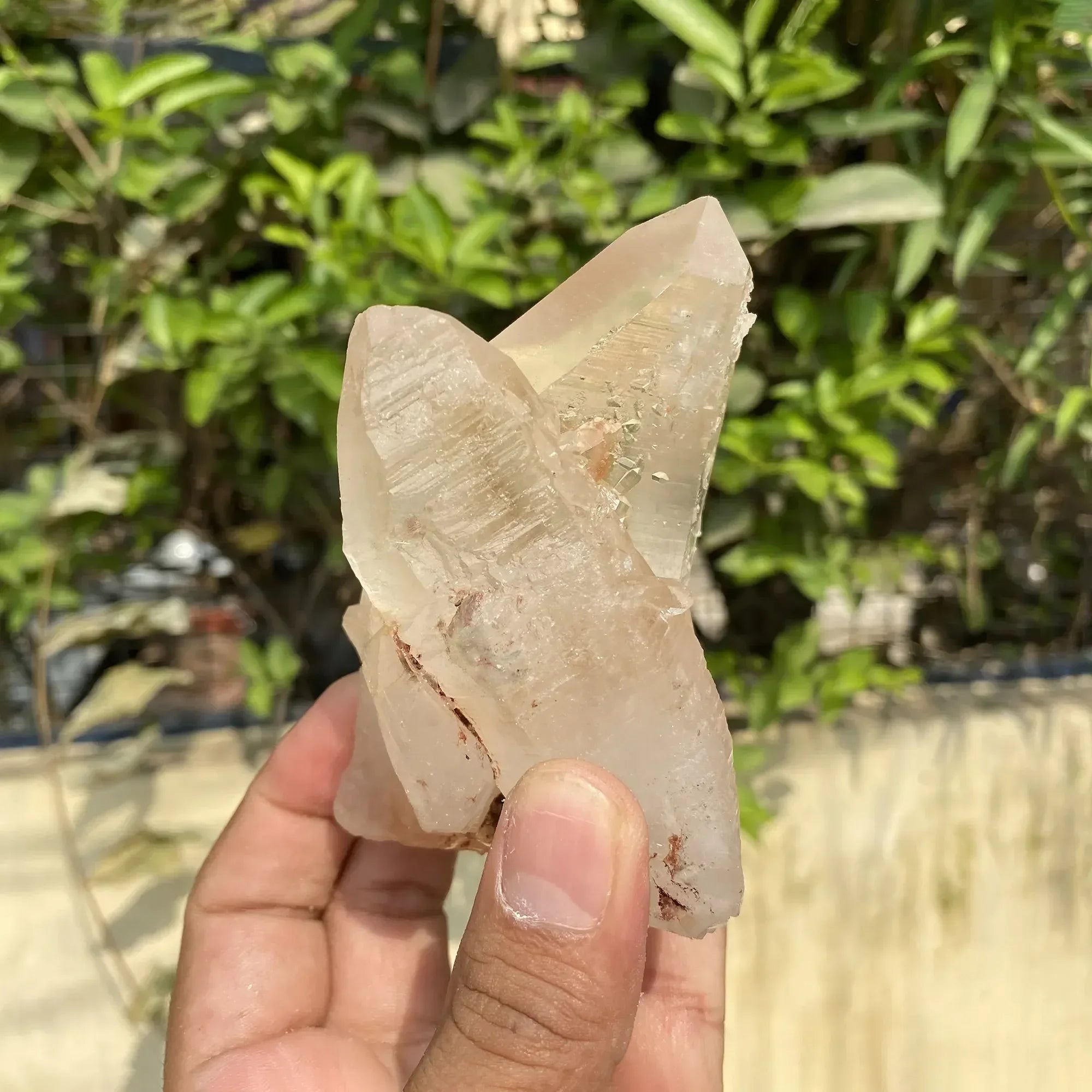 Natural Himalayan Pink Quartz Cluster 375g Himalayan Quartz