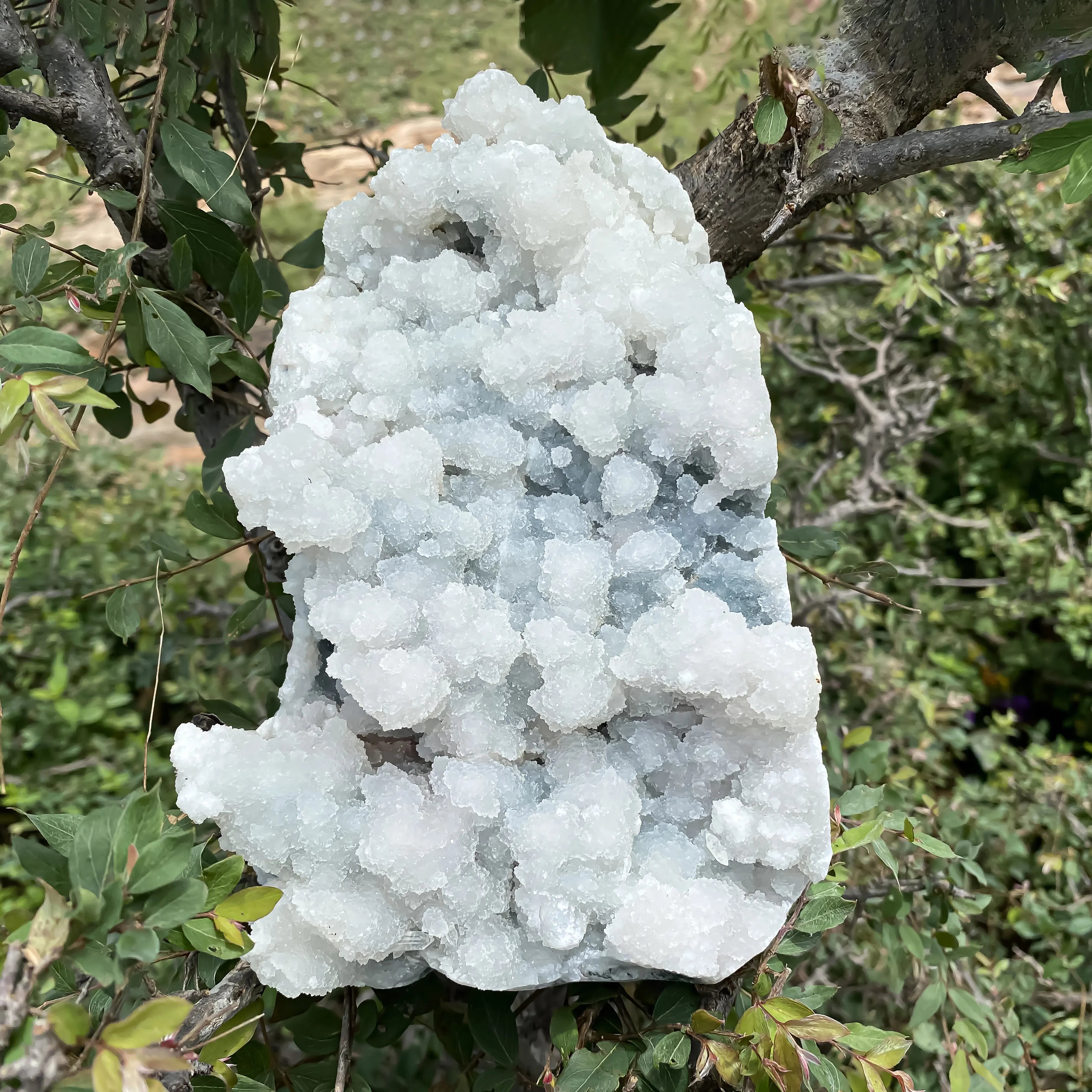 Natural White Apophyllite 2240g Spiritual Healing & Energy Purification
