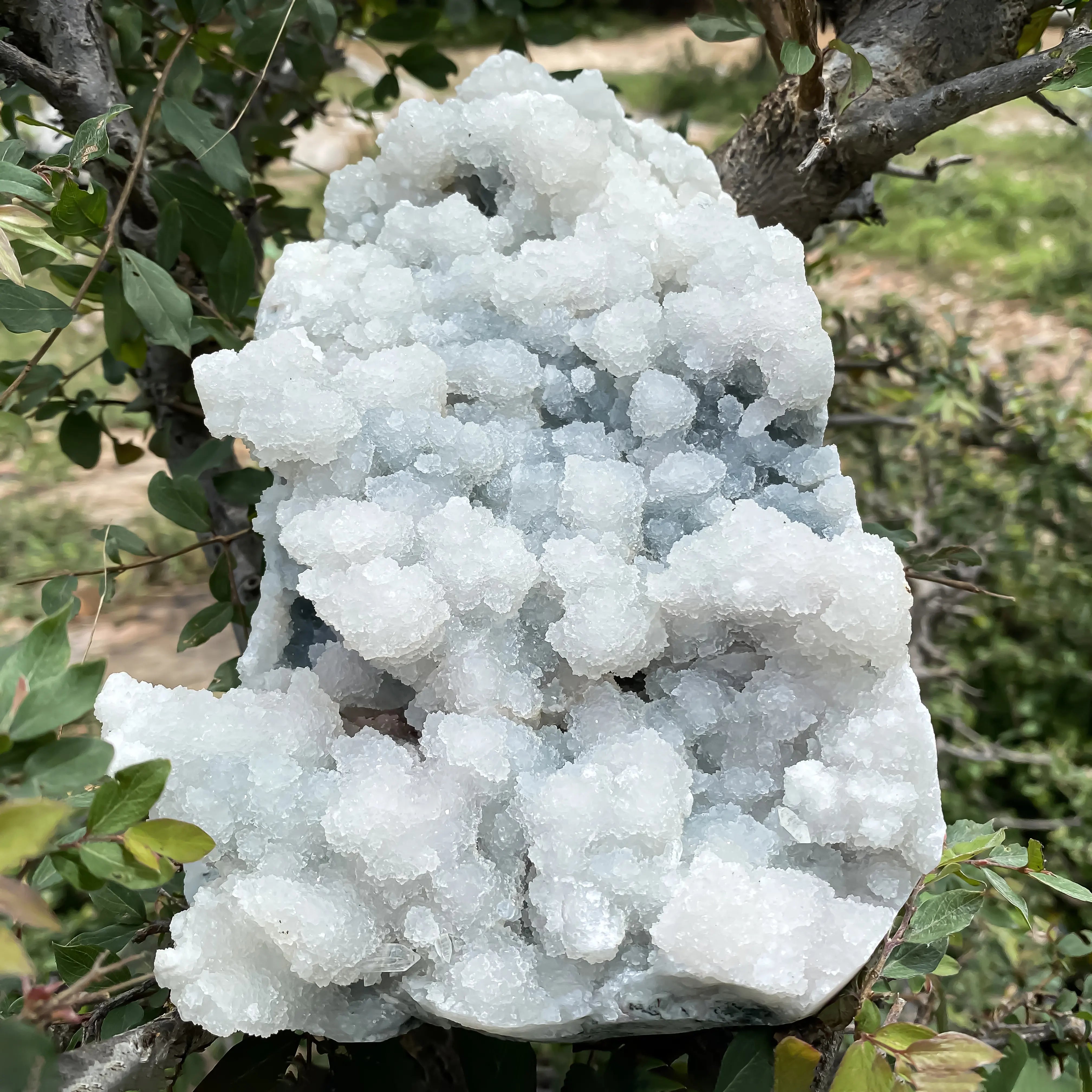 Natural White Apophyllite 2240g Spiritual Healing & Energy Purification