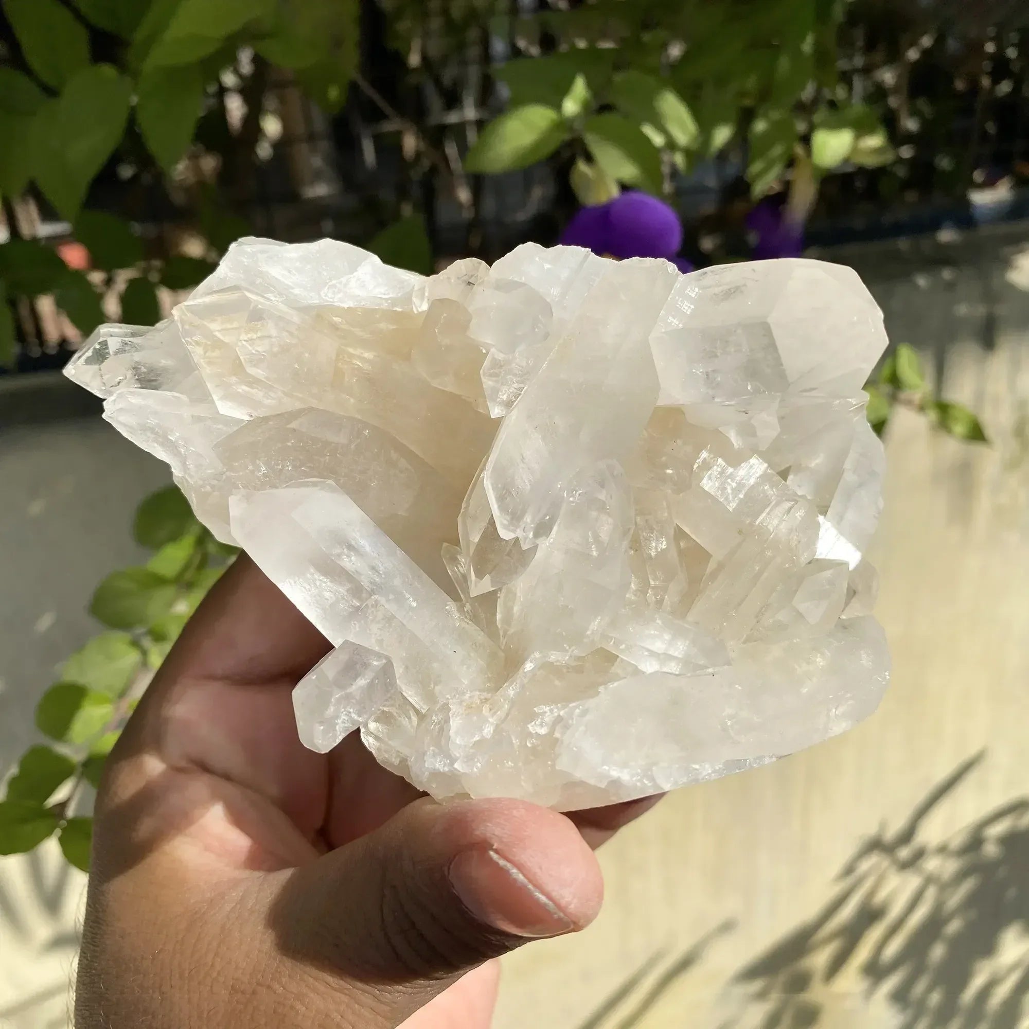 Natural Himalayan White Quartz Cluster 585g Himalayan Quartz
