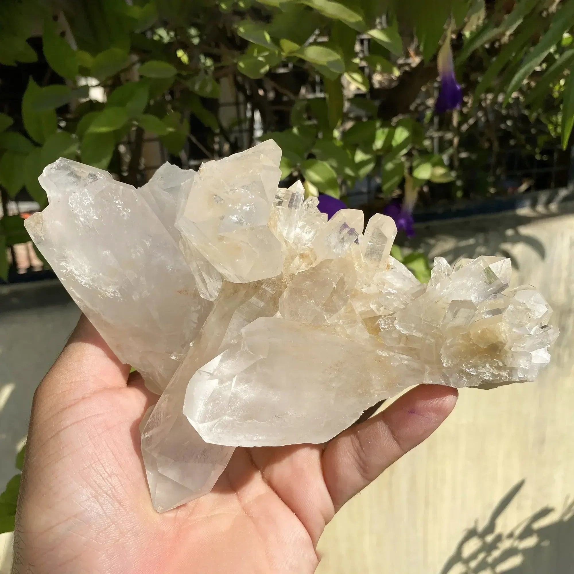 Natural Himalayan Pink Quartz Cluster 1020g Himalayan Quartz