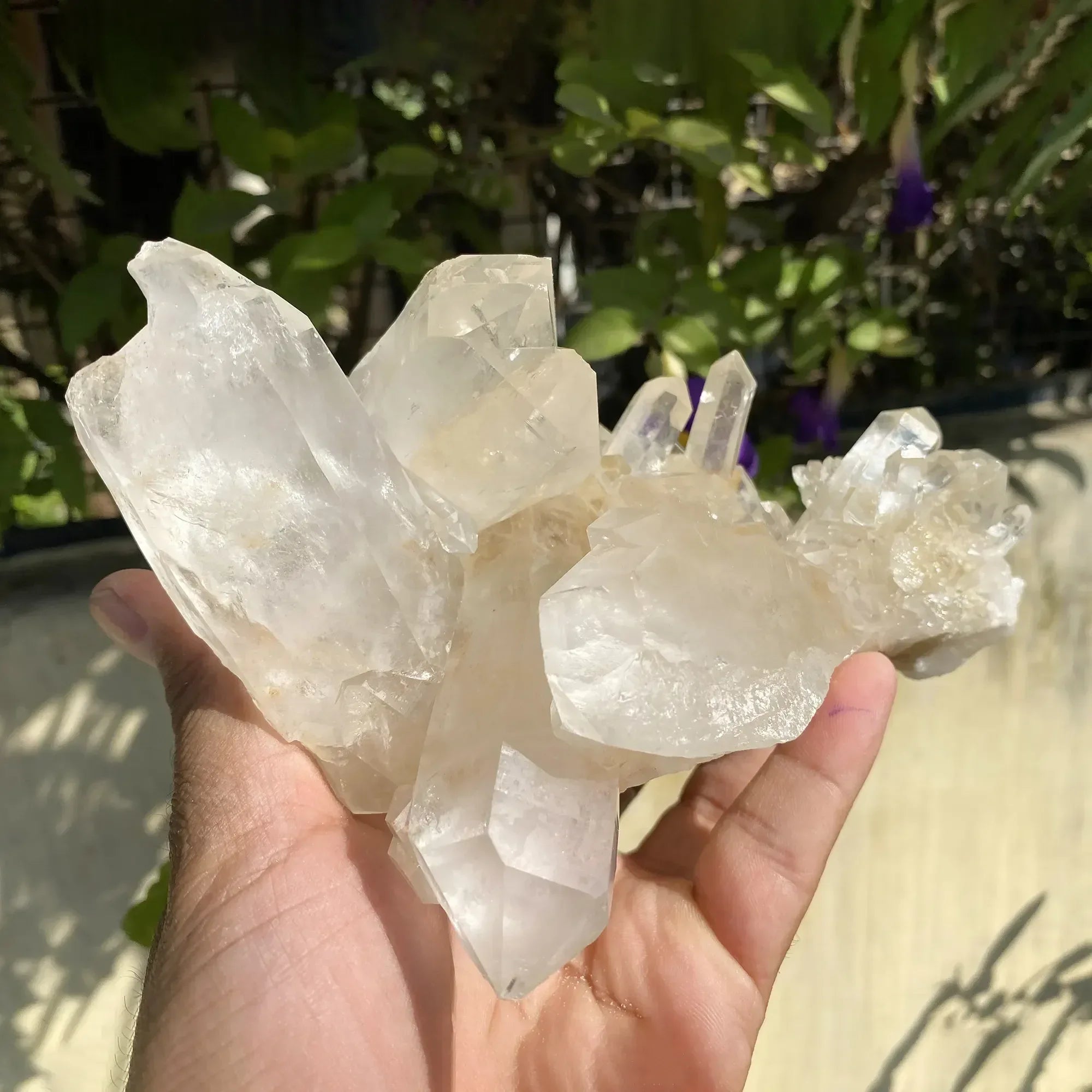 Natural Himalayan Pink Quartz Cluster 1020g Himalayan Quartz