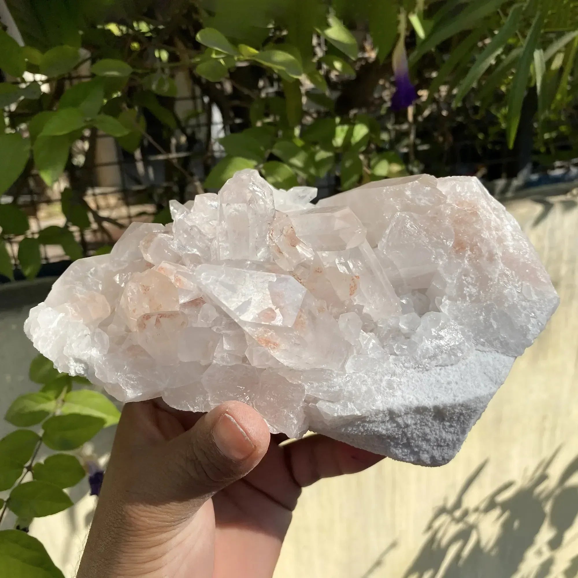 Natural Himalayan Pink Quartz Cluster 1580g Himalayan Quartz