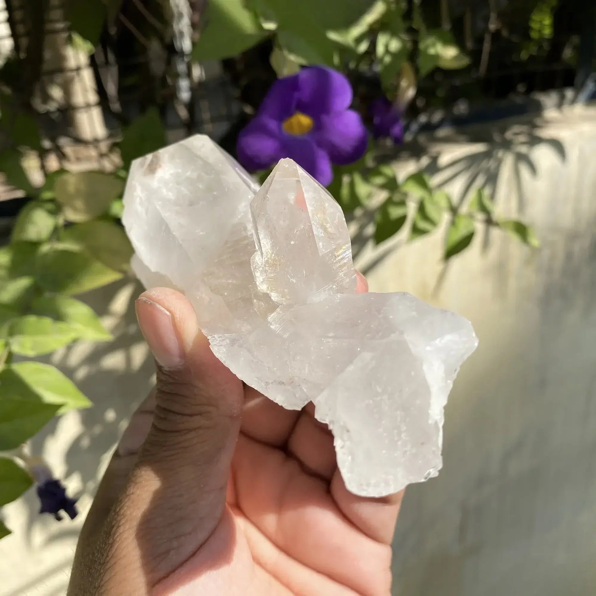 Natural Himalayan White Quartz Cluster 220g Himalayan Quartz