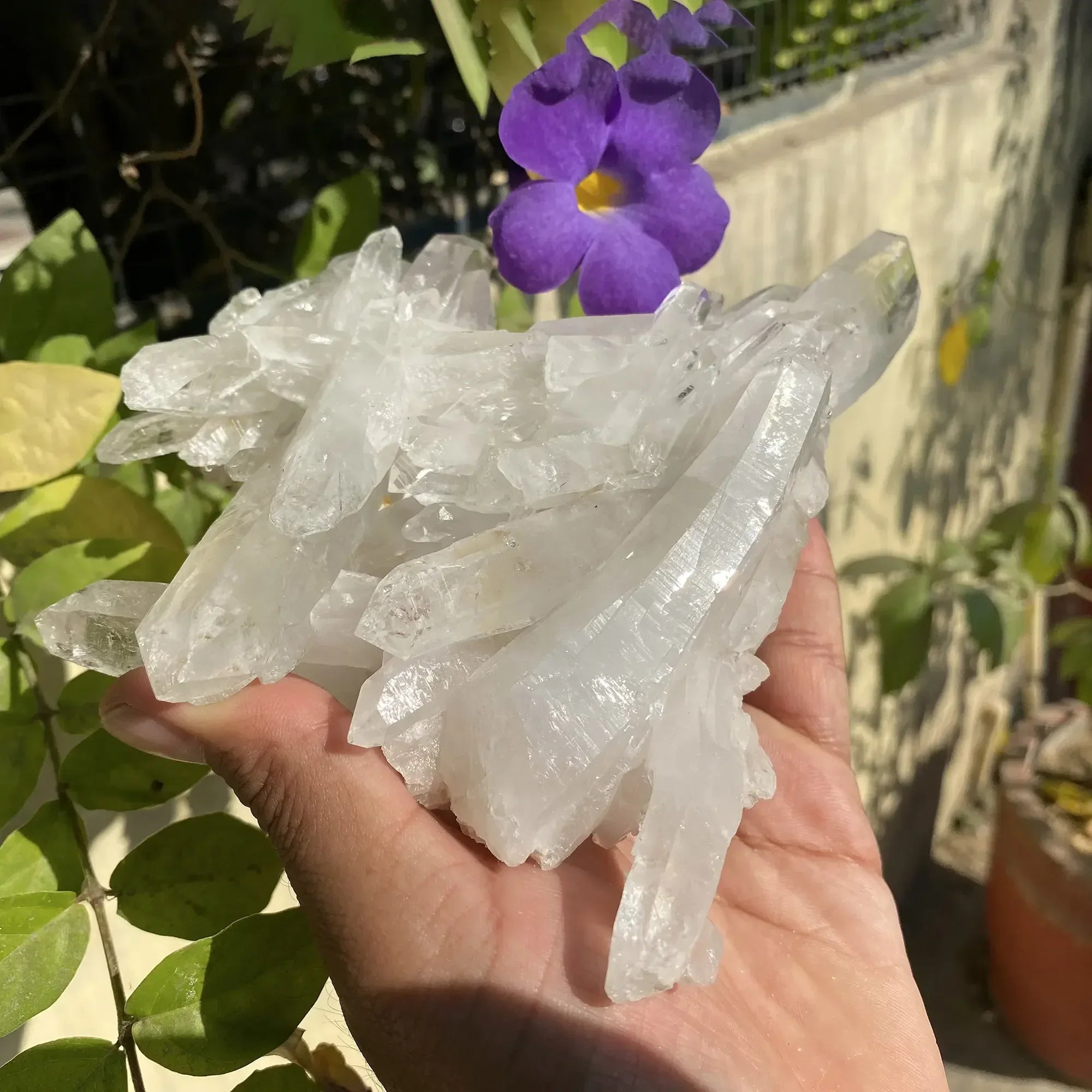 Natural Himalayan White Quartz Cluster 1075g Himalayan Quartz