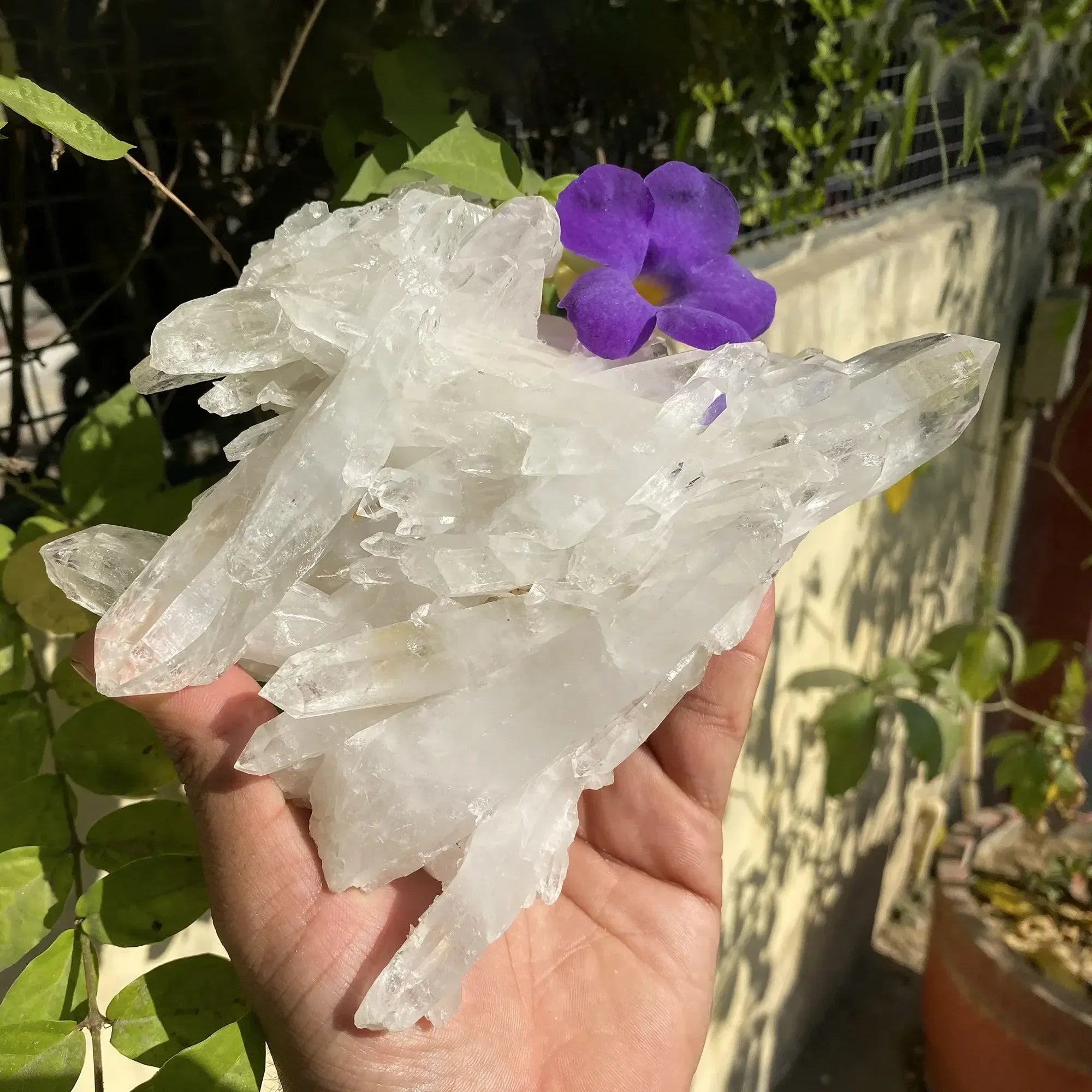 Natural Himalayan White Quartz Cluster 1075g Himalayan Quartz