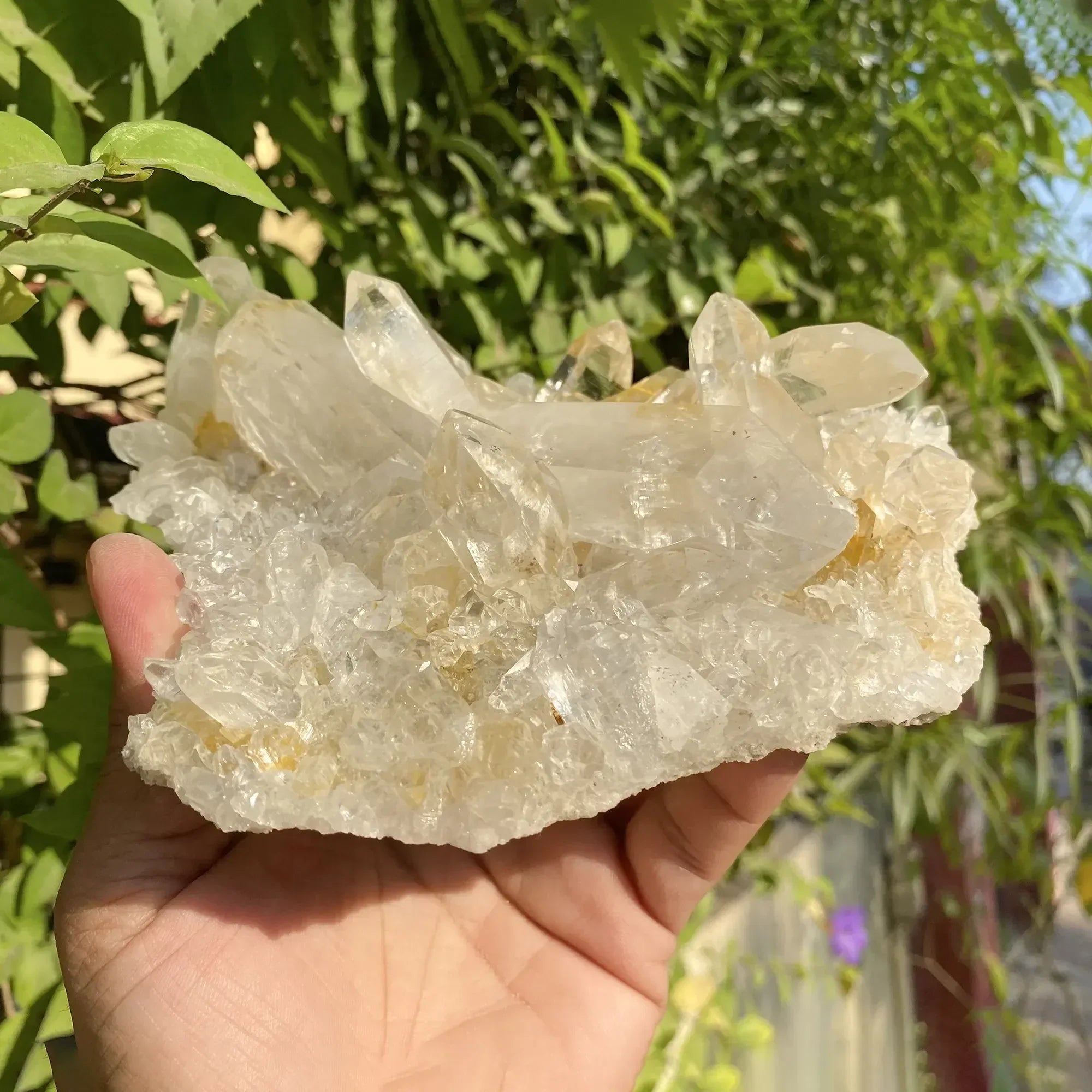 Natural Yellow + White Himalayan Quartz Cluster Himalayan Quartz