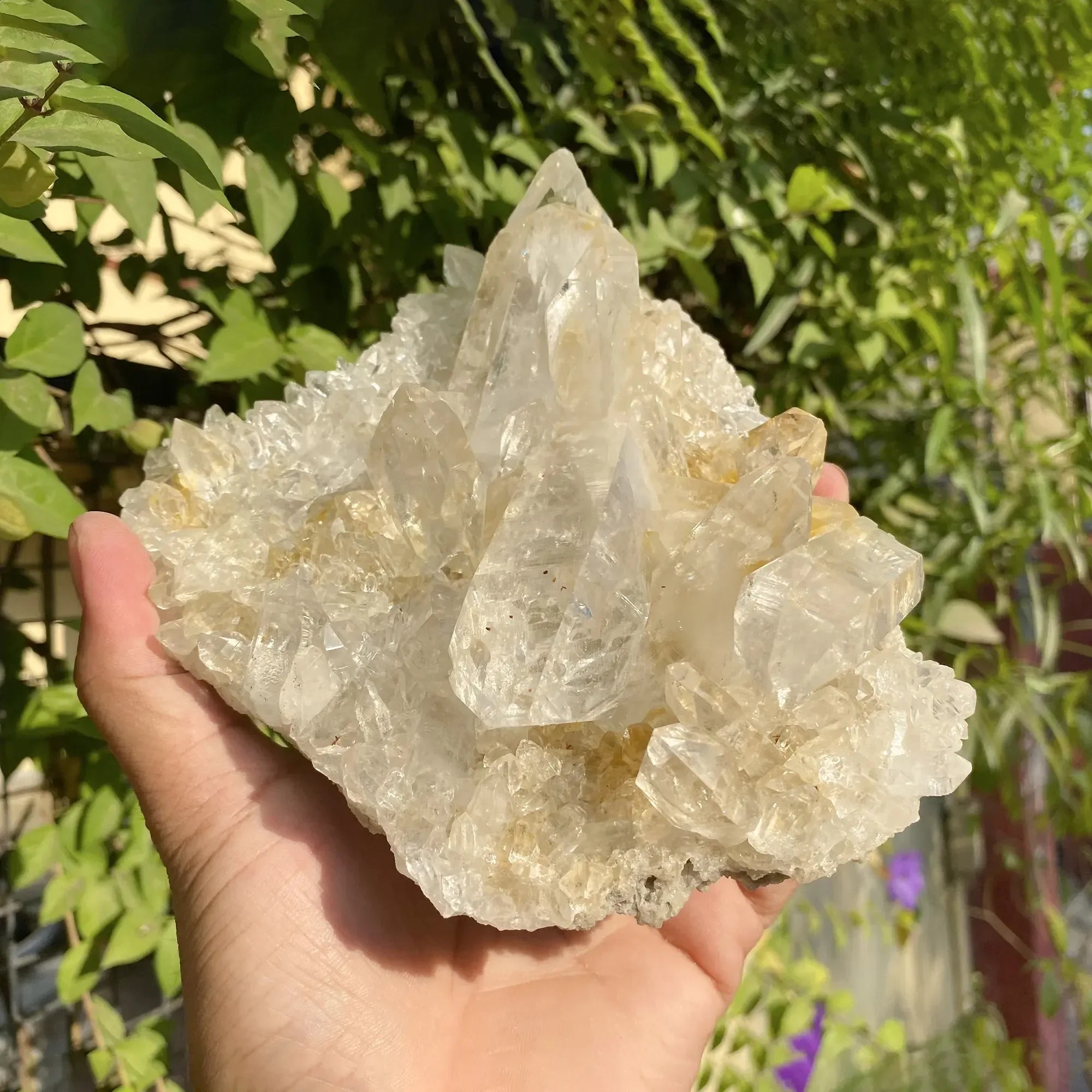 Natural Yellow + White Himalayan Quartz Cluster Himalayan Quartz