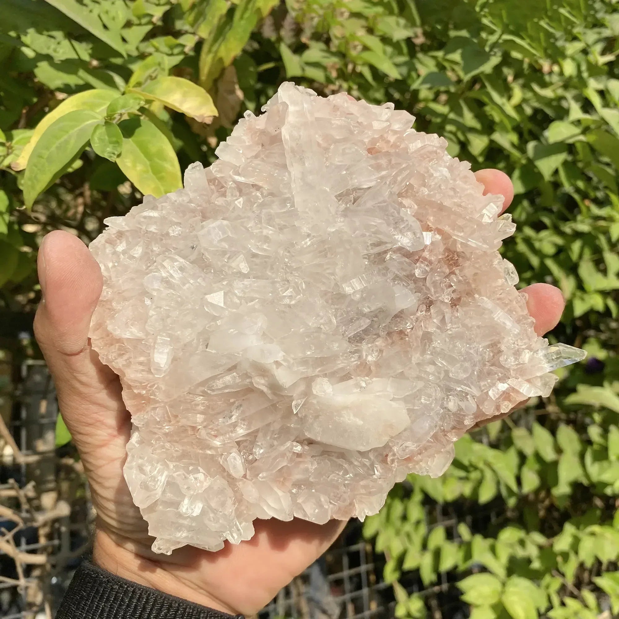 Natural Himalayan Pink Quartz Cluster 630g Himalayan Quartz