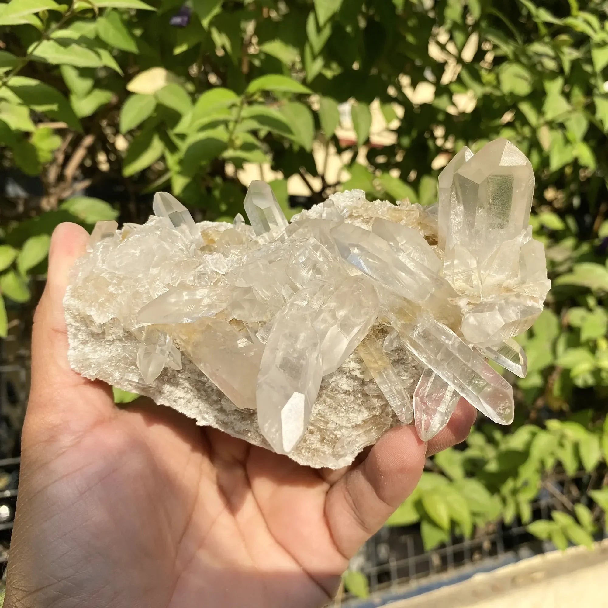 Natural Himalayan White & Yellow Quartz Cluster 565g Himalayan Quartz