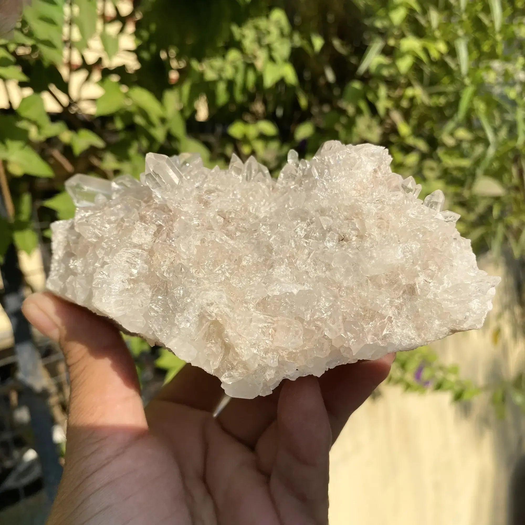 Natural Himalayan Pink Quartz Cluster 1025g Himalayan Quartz