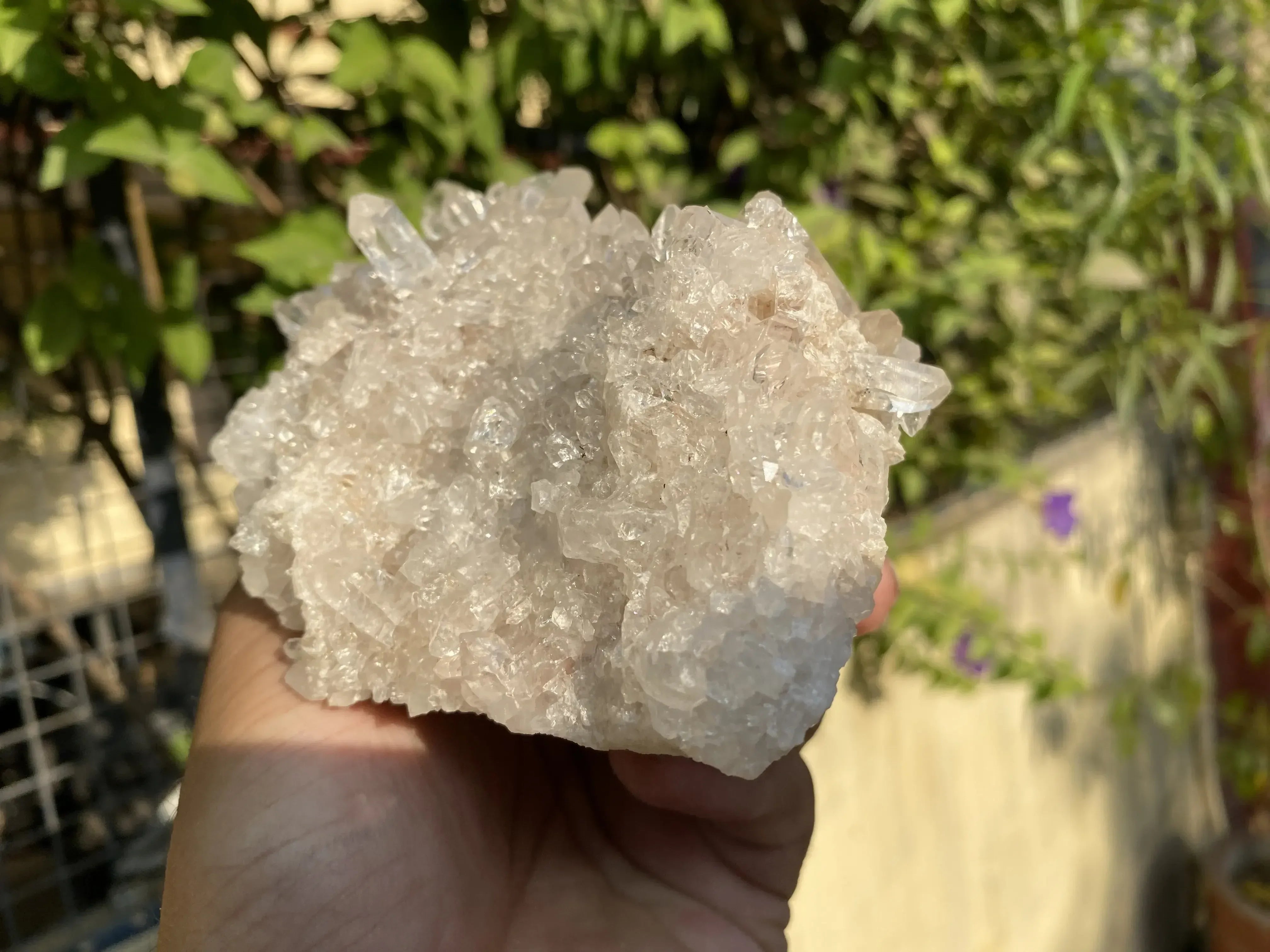 Natural Himalayan Pink Quartz Cluster 1025g Himalayan Quartz
