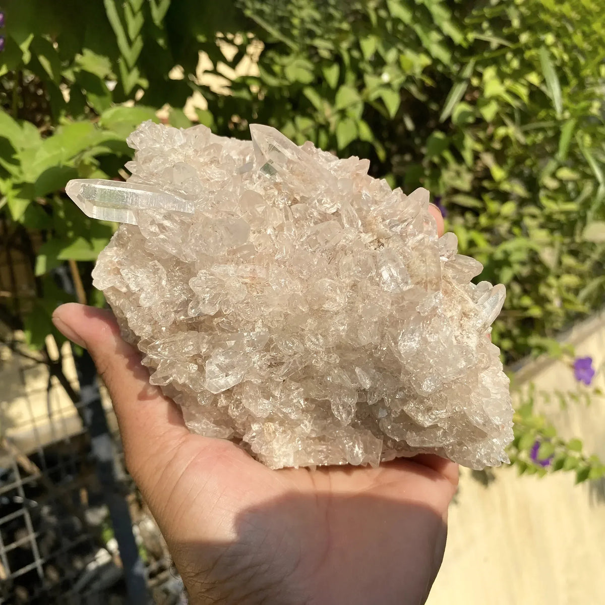 Natural Himalayan Pink Quartz Cluster 1025g Himalayan Quartz