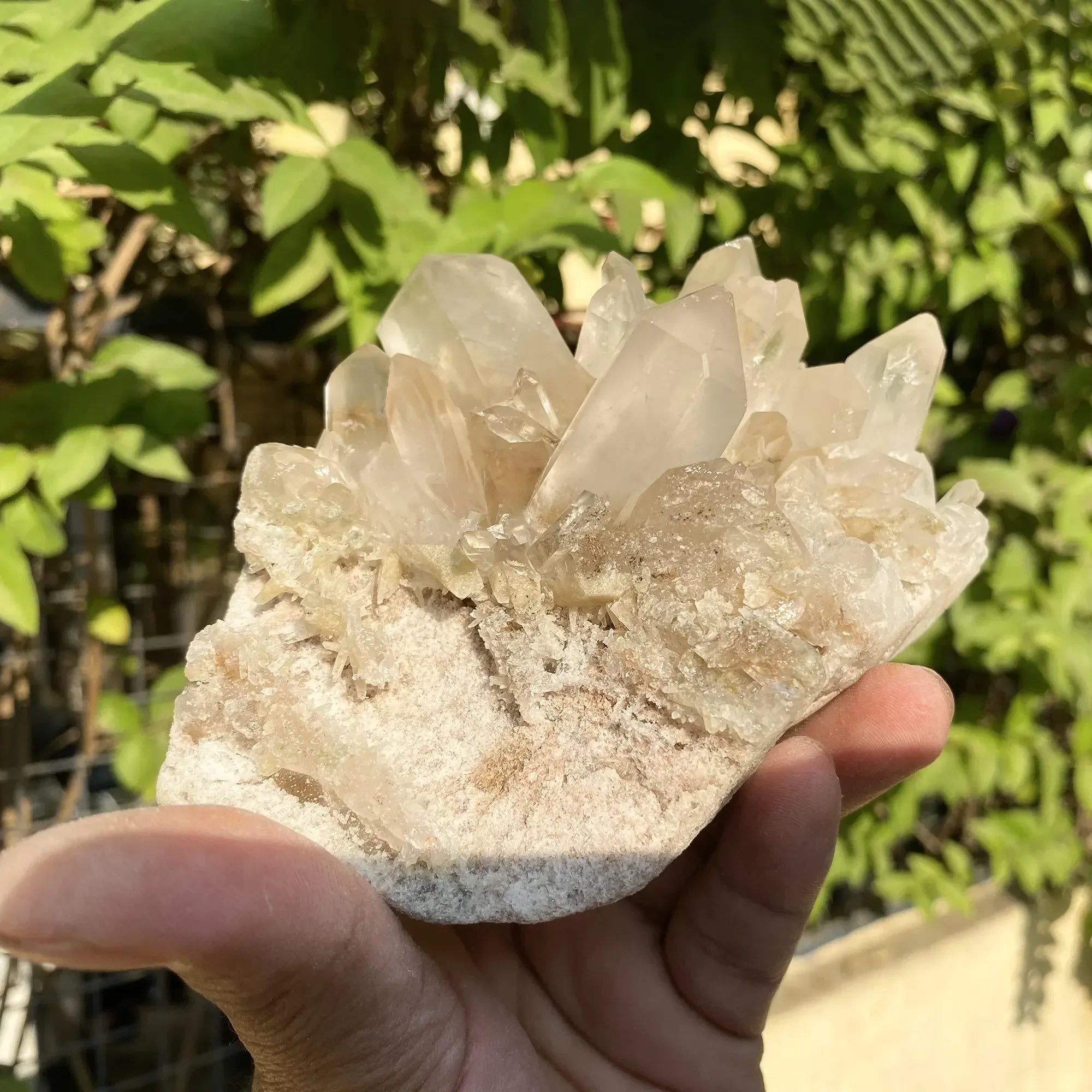 Natural Himalayan Pink Phantom Quartz Cluster 640g Himalayan Quartz