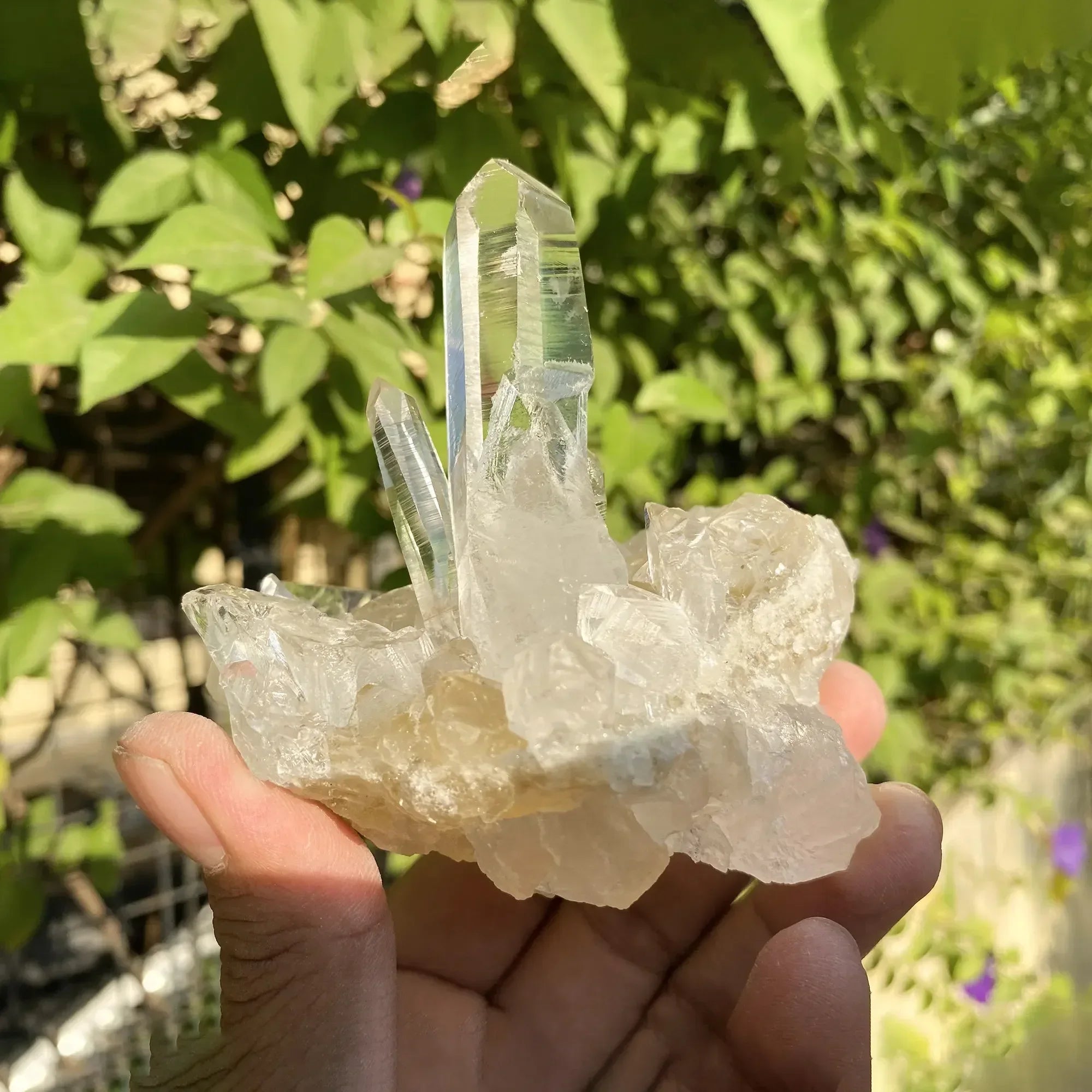 Natural Himalayan White & Yellow Quartz Cluster 310g Himalayan Quartz