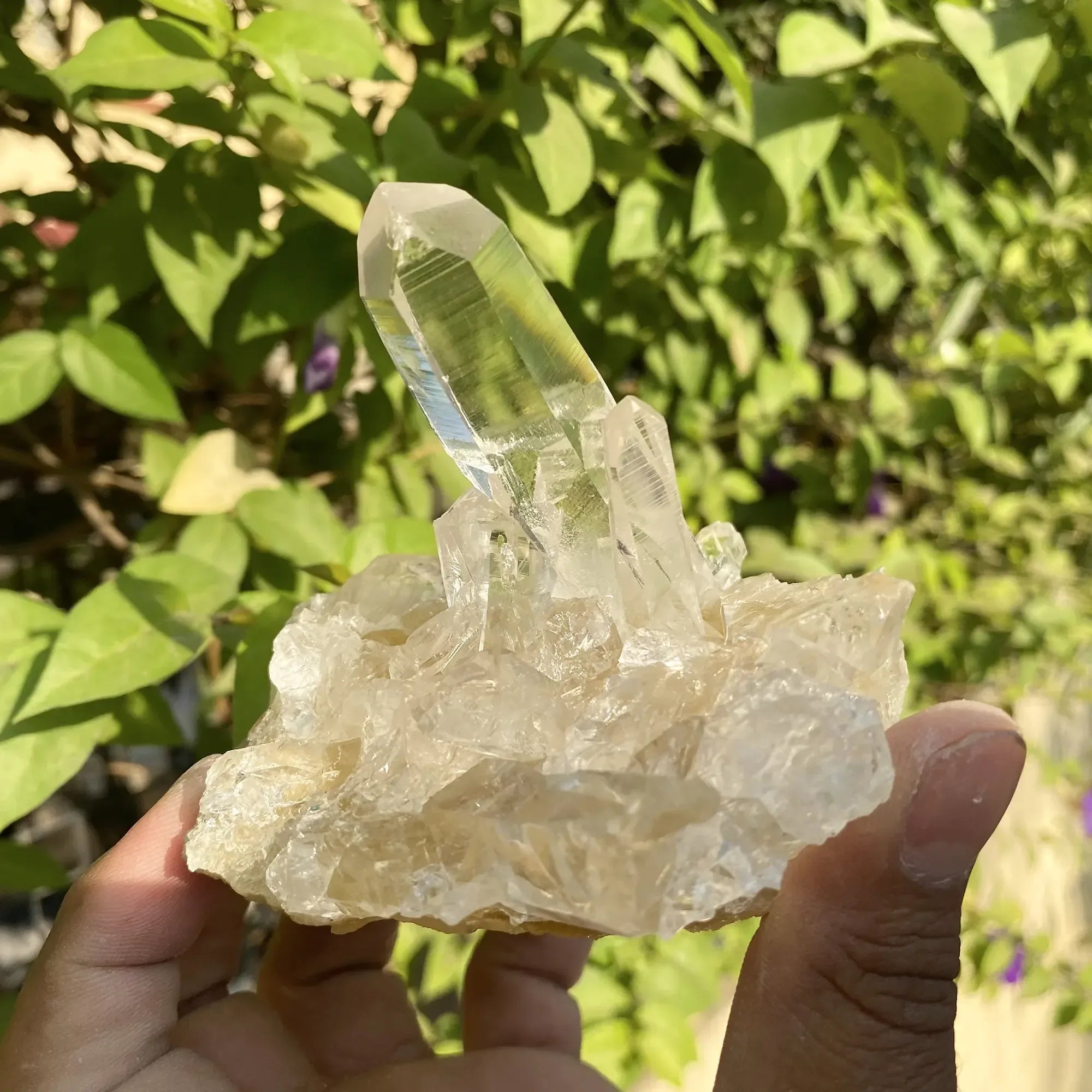 Natural Himalayan White & Yellow Quartz Cluster 310g Himalayan Quartz