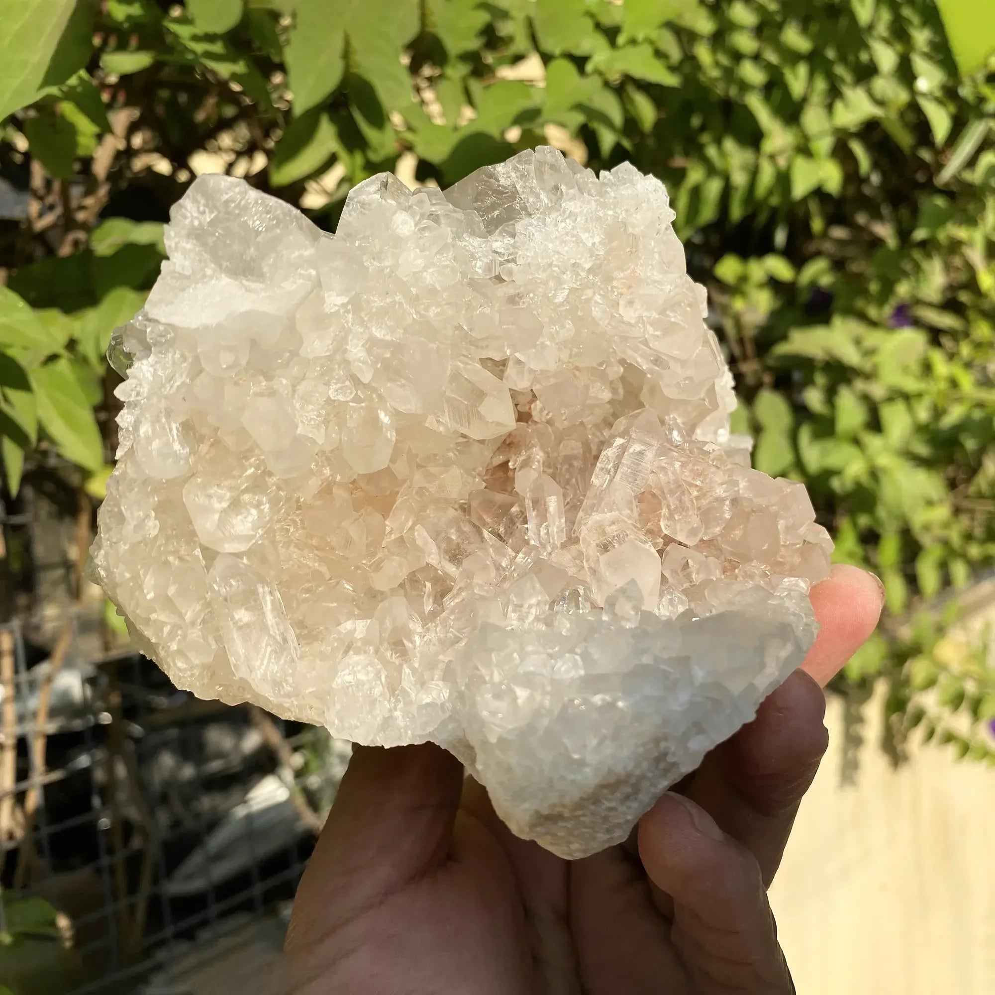 Natural Himalayan White Quartz Cluster 1260g Himalayan Quartz