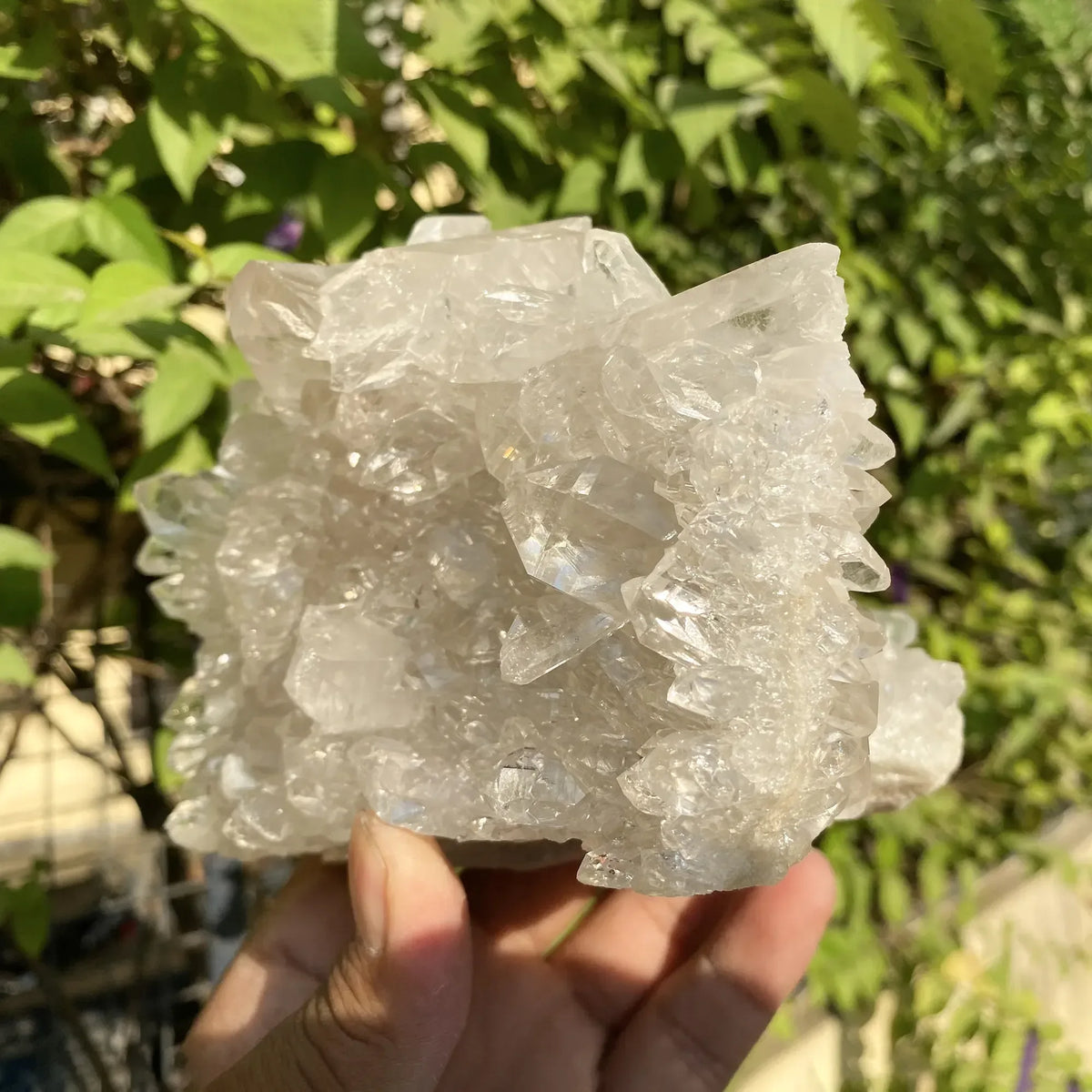 Natural Himalayan White Quartz Cluster 1260g Himalayan Quartz