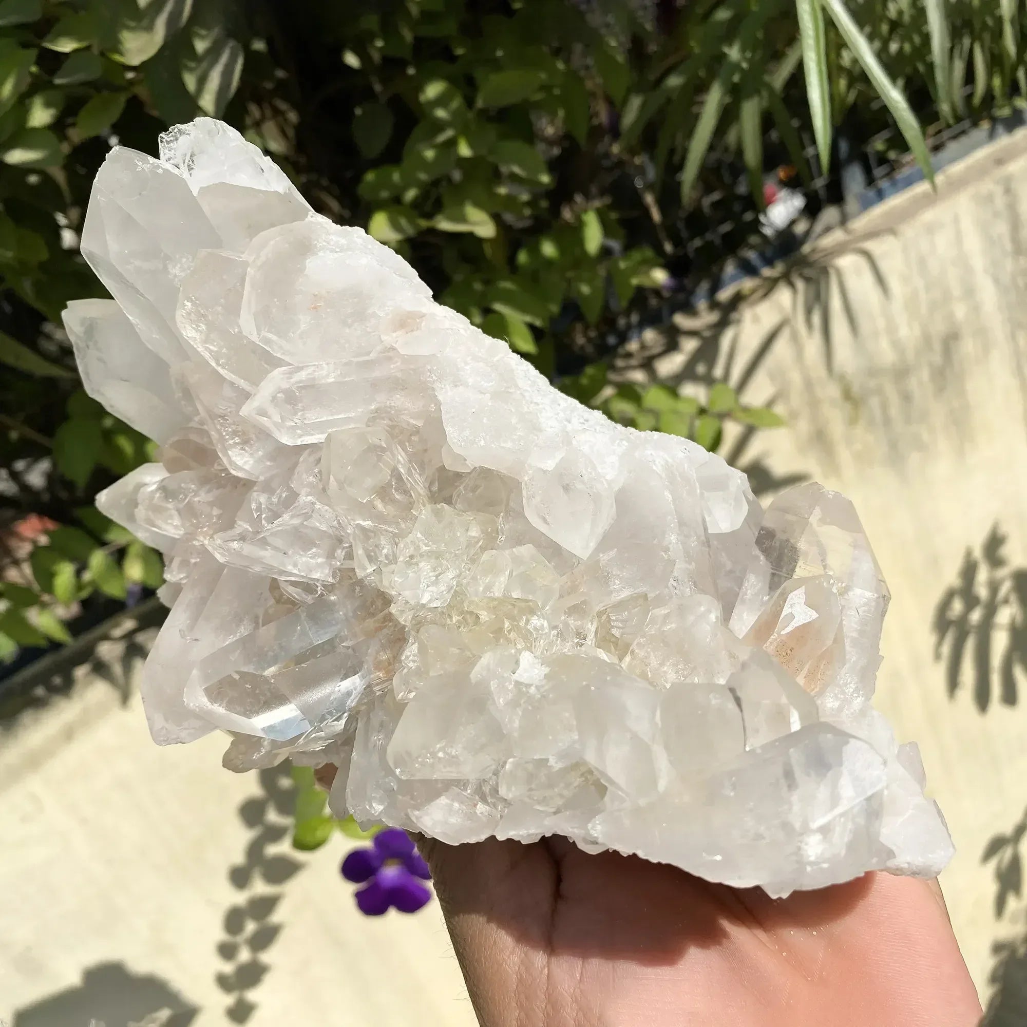 Natural Himalayan Pink Quartz Cluster 1785g Himalayan Quartz
