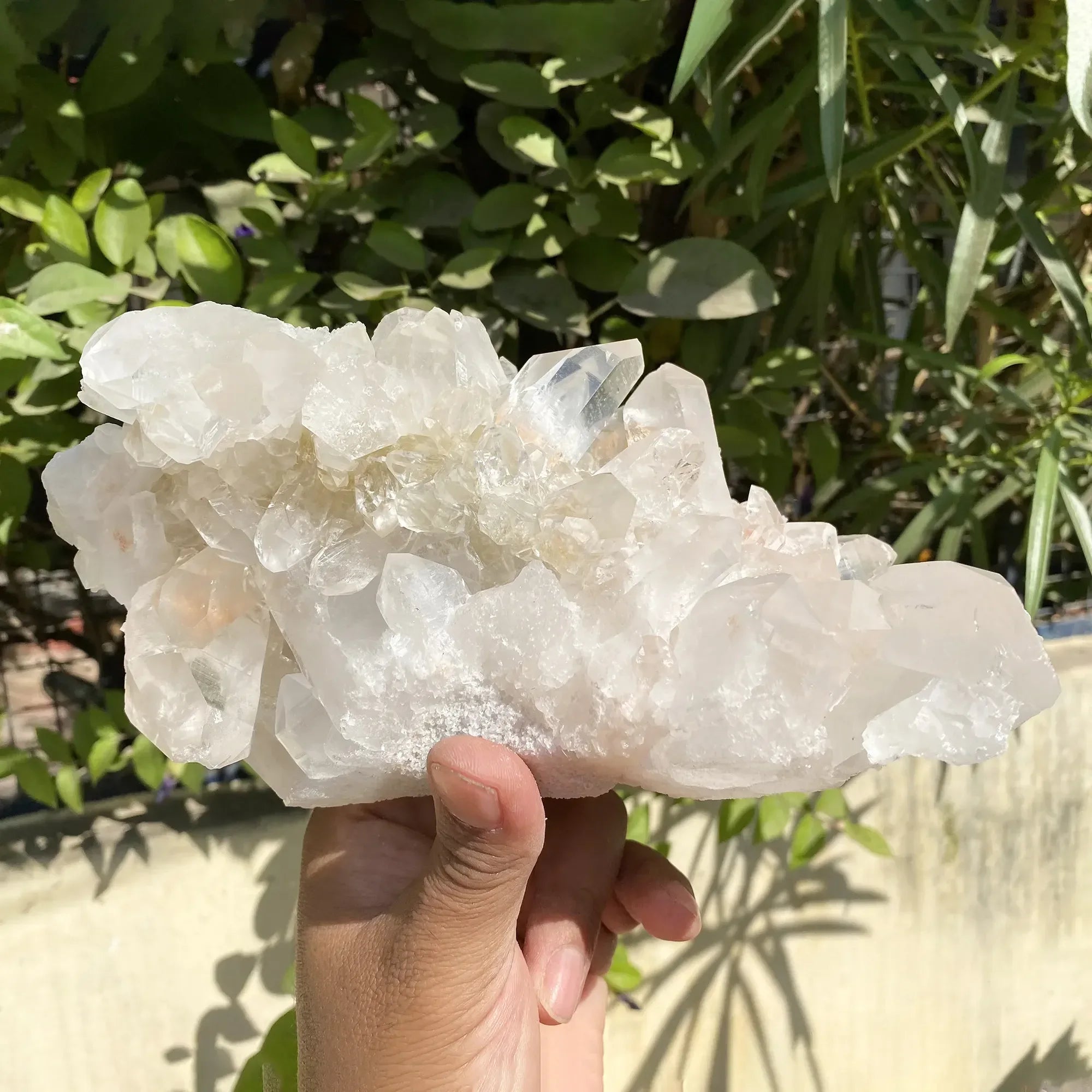 Natural Himalayan Pink Quartz Cluster 1785g Himalayan Quartz