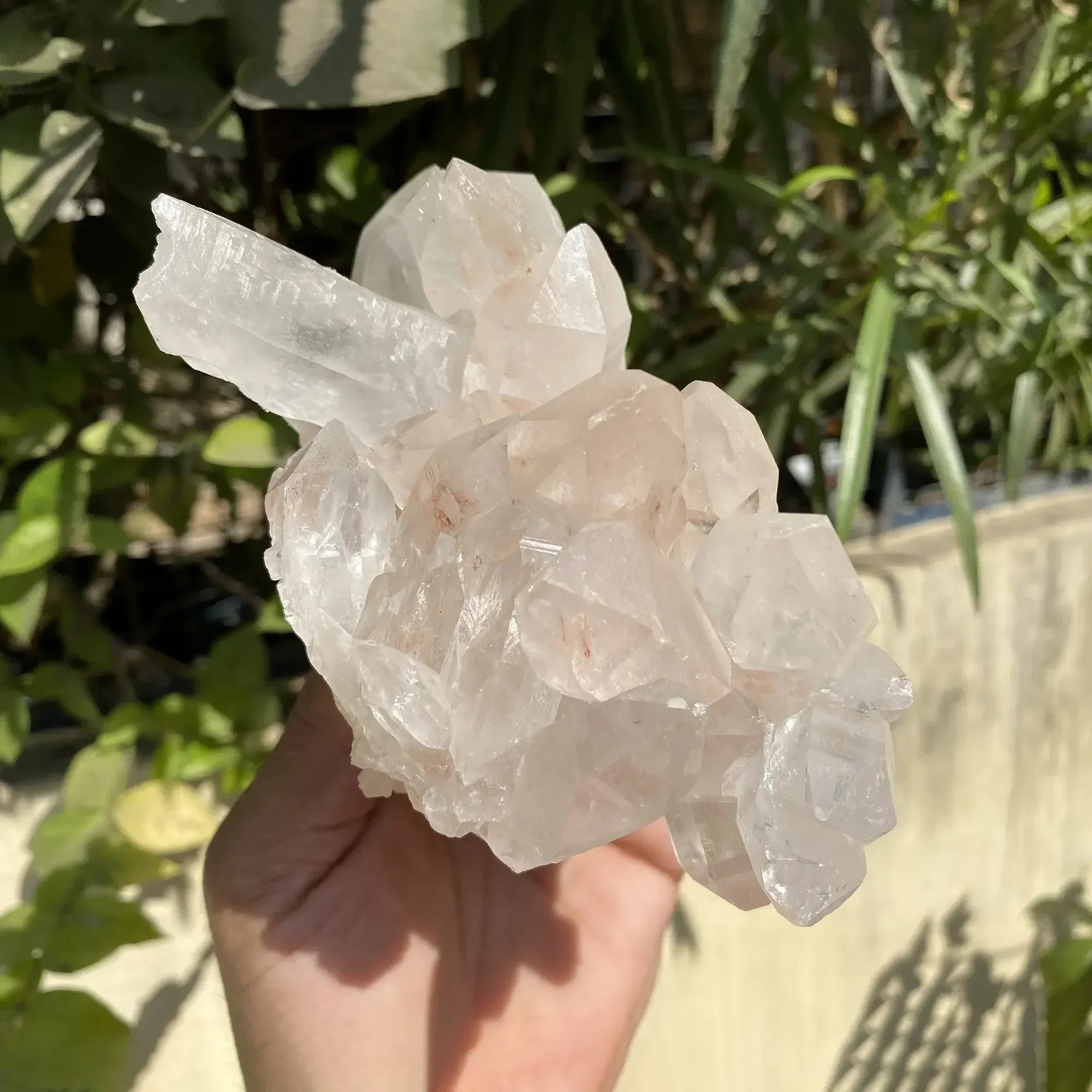 Natural Himalayan Pink Quartz Cluster 910g Himalayan Quartz