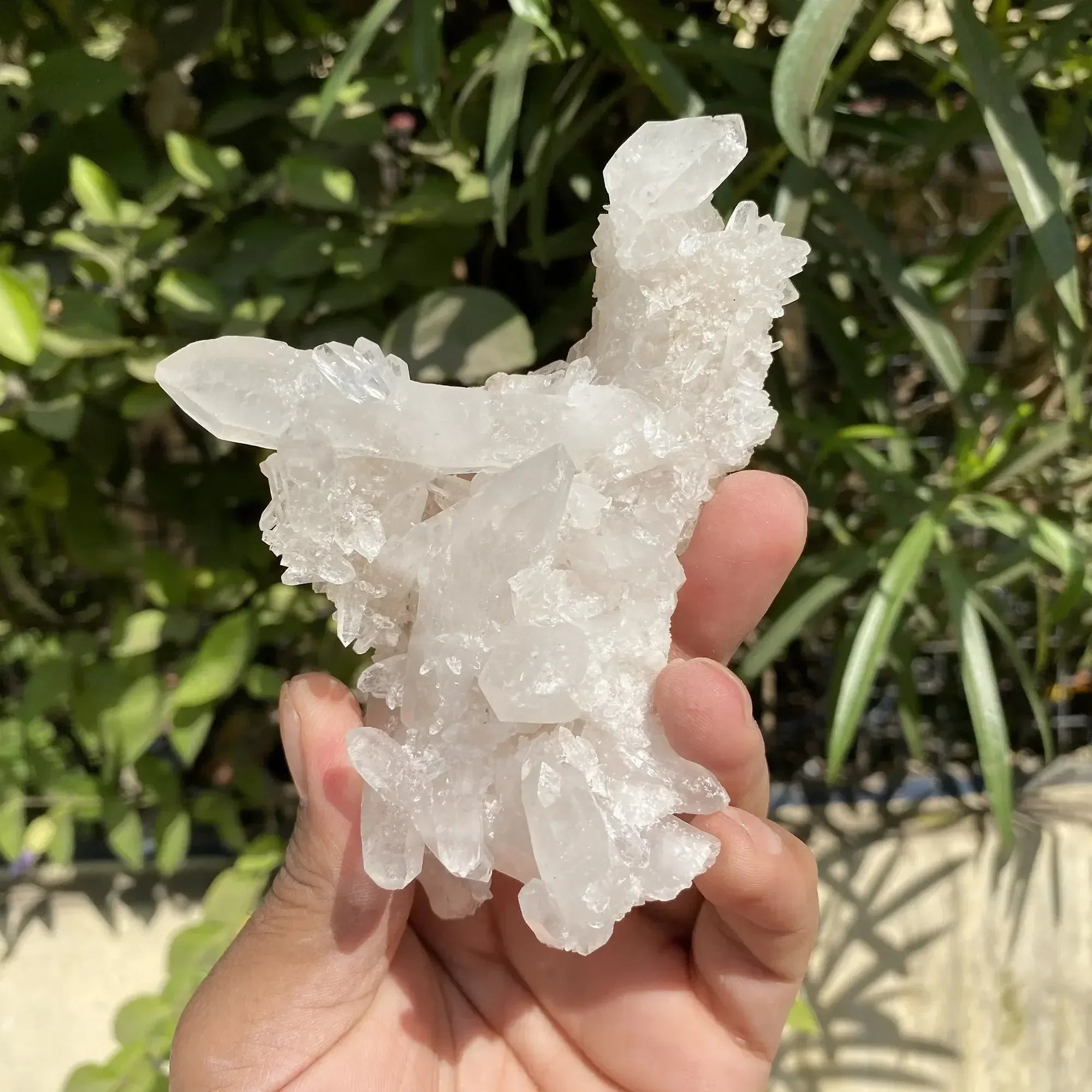 Natural Himalayan White Quartz Cluster 195g Himalayan Quartz