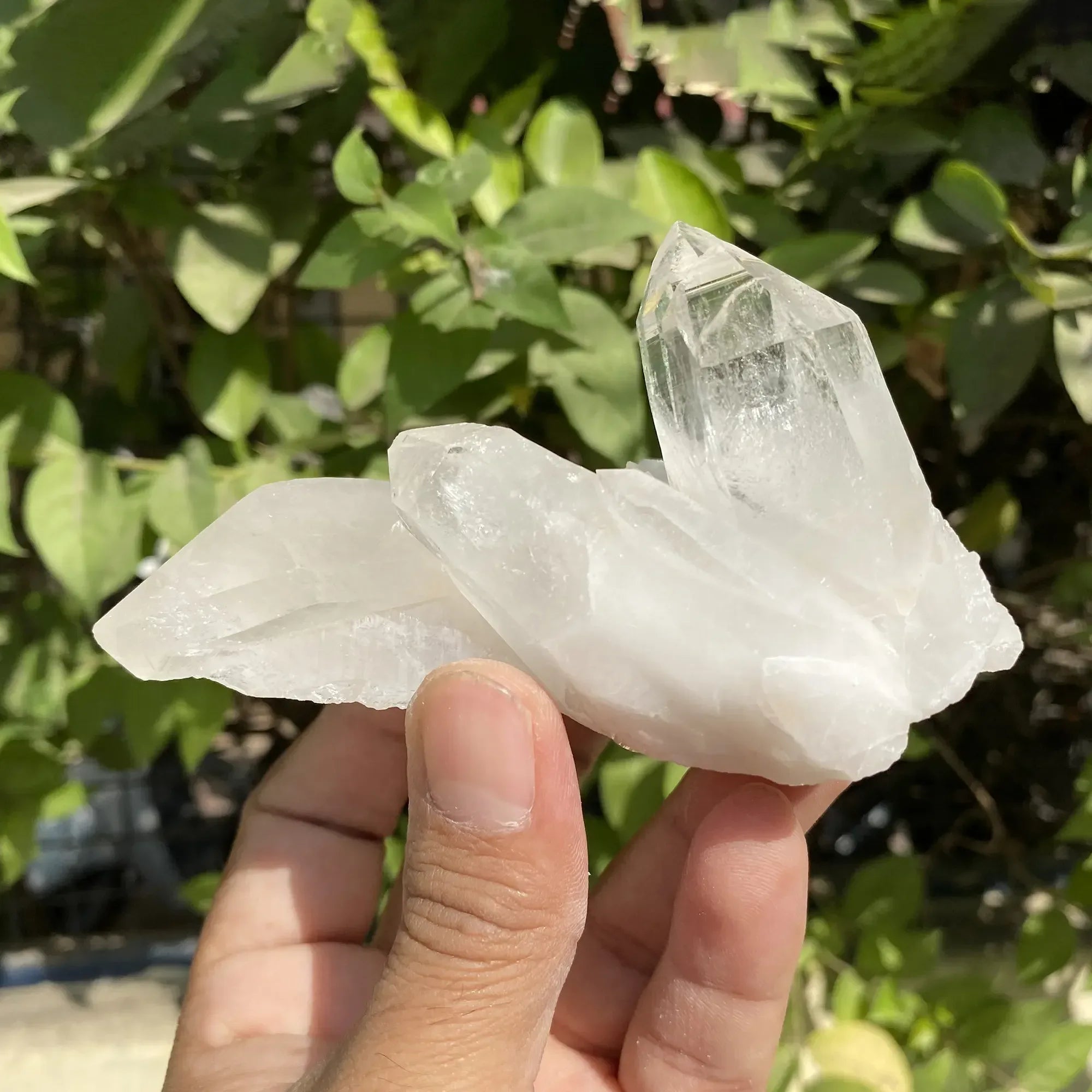 Natural Himalayan White Quartz Cluster 245g Himalayan Quartz