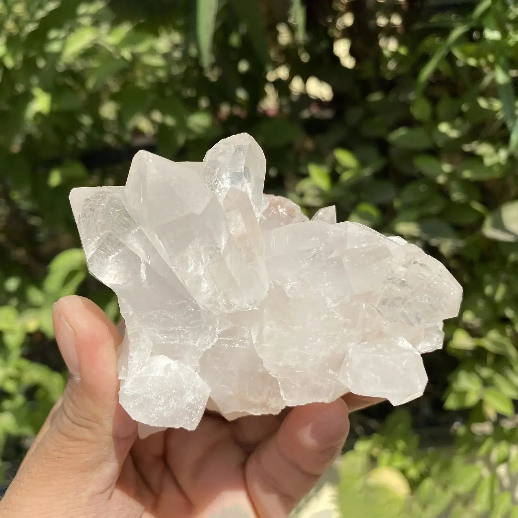 Natural Himalayan White Quartz Cluster 275g Himalayan Quartz