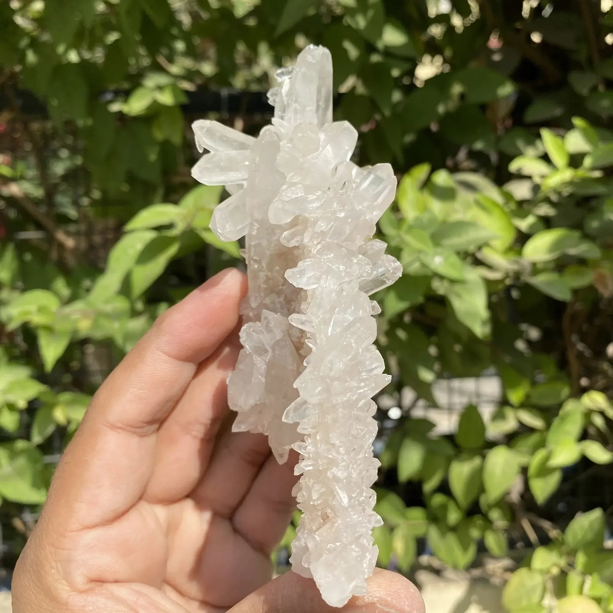 Natural Himalayan White Quartz Cluster 270g Himalayan Quartz