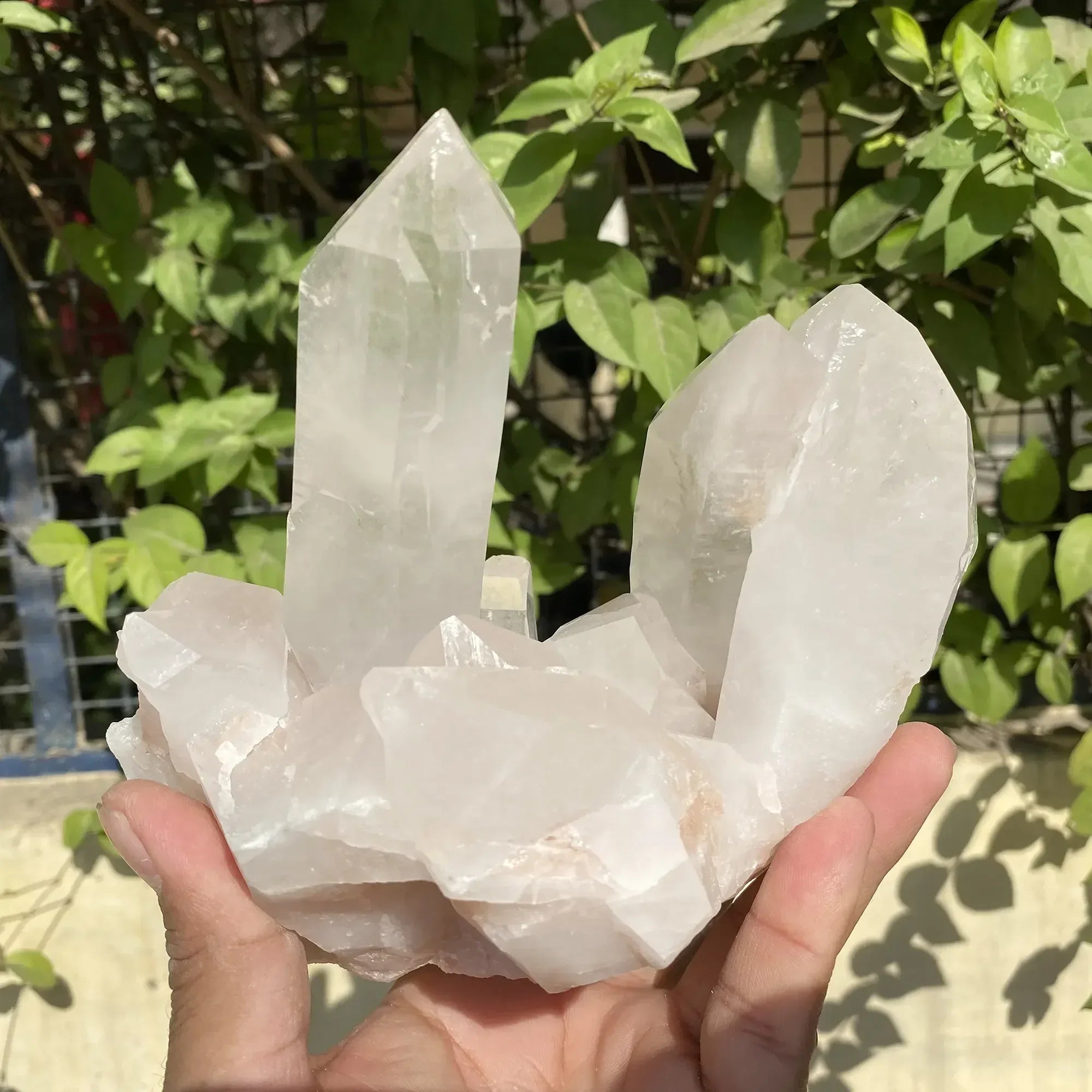 Natural Himalayan Pink Quartz Cluster 1525g Himalayan Quartz