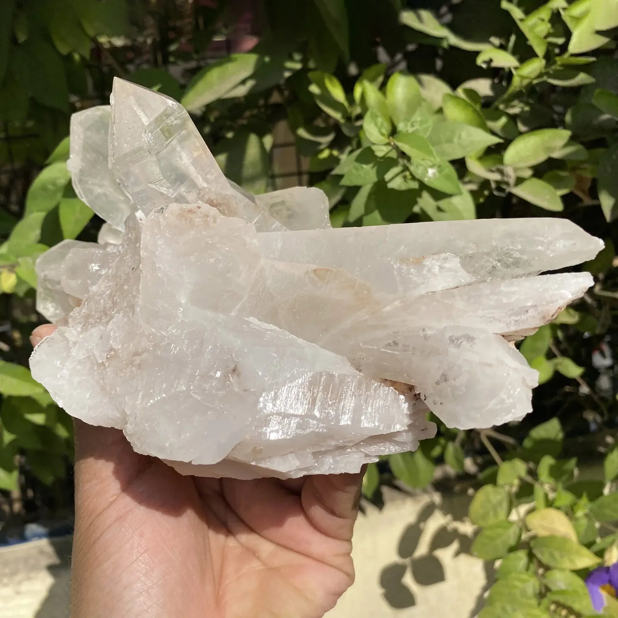 Natural Himalayan Pink Quartz Cluster 1735g Himalayan Quartz