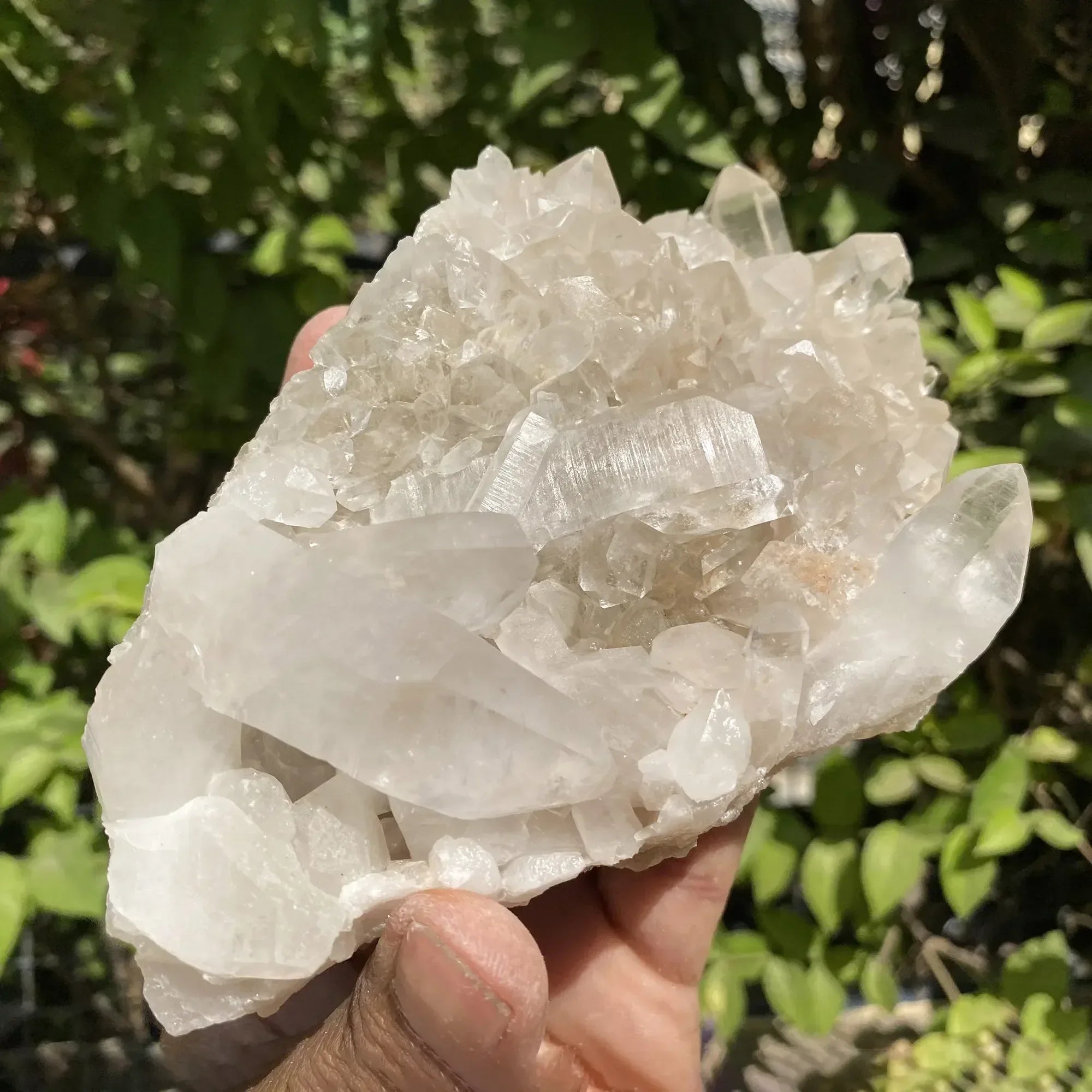 Natural Himalayan White Phantom Quartz Cluster 535g Himalayan Quartz