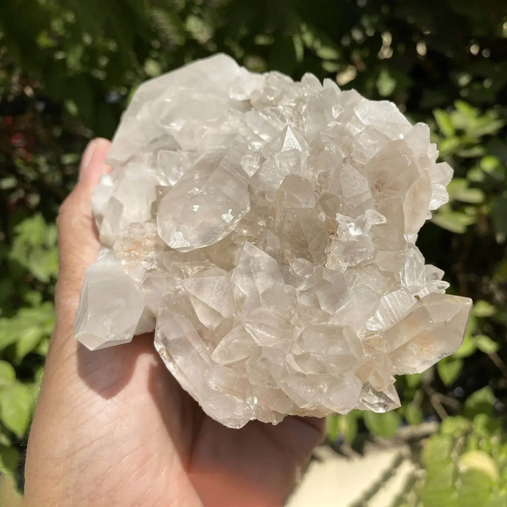 Natural Himalayan White Phantom Quartz Cluster 535g Himalayan Quartz